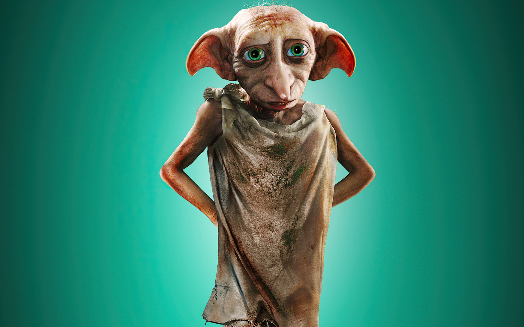 house elf harry potter