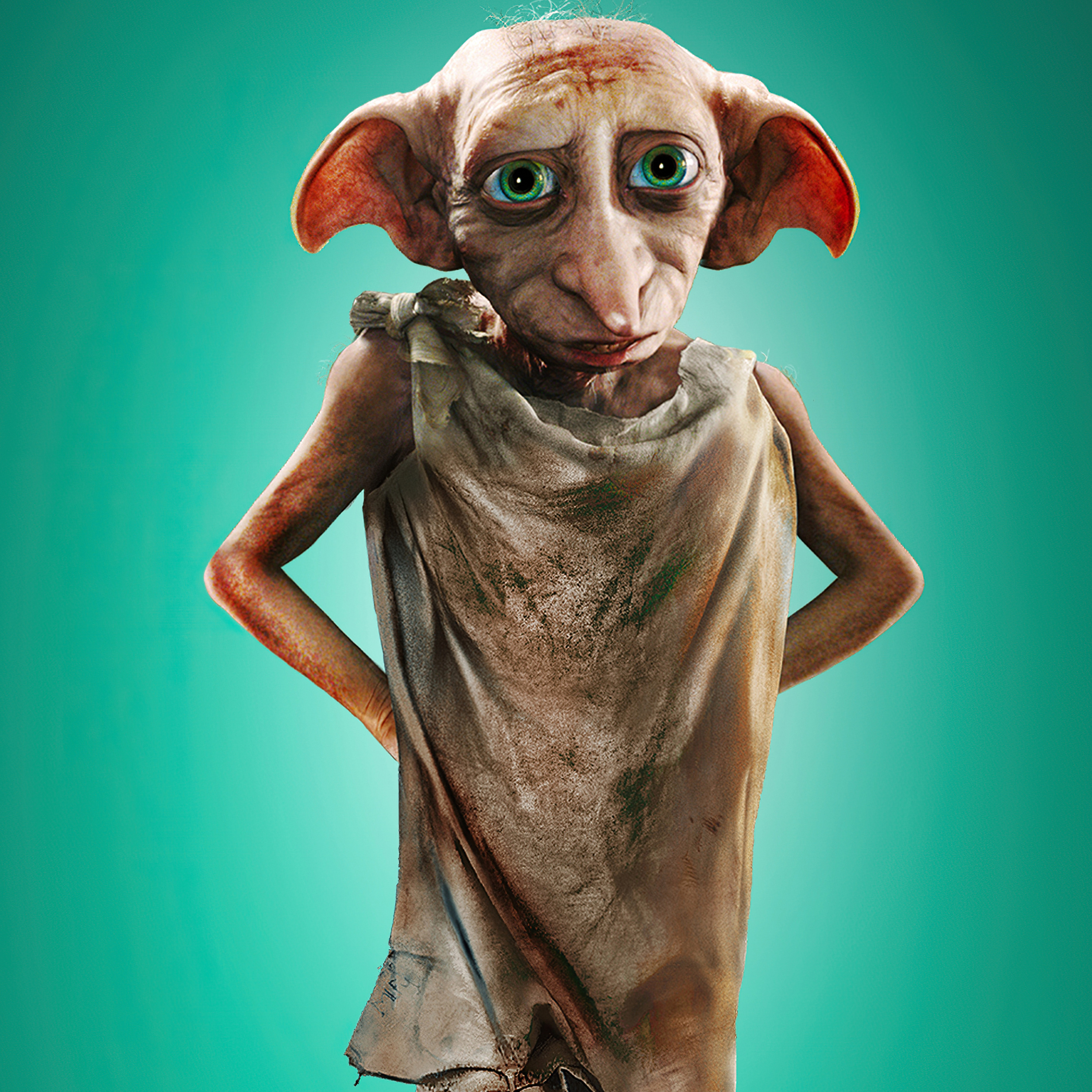 2932x2932 House Elf Dobby In Harry Potter And Fantastic 