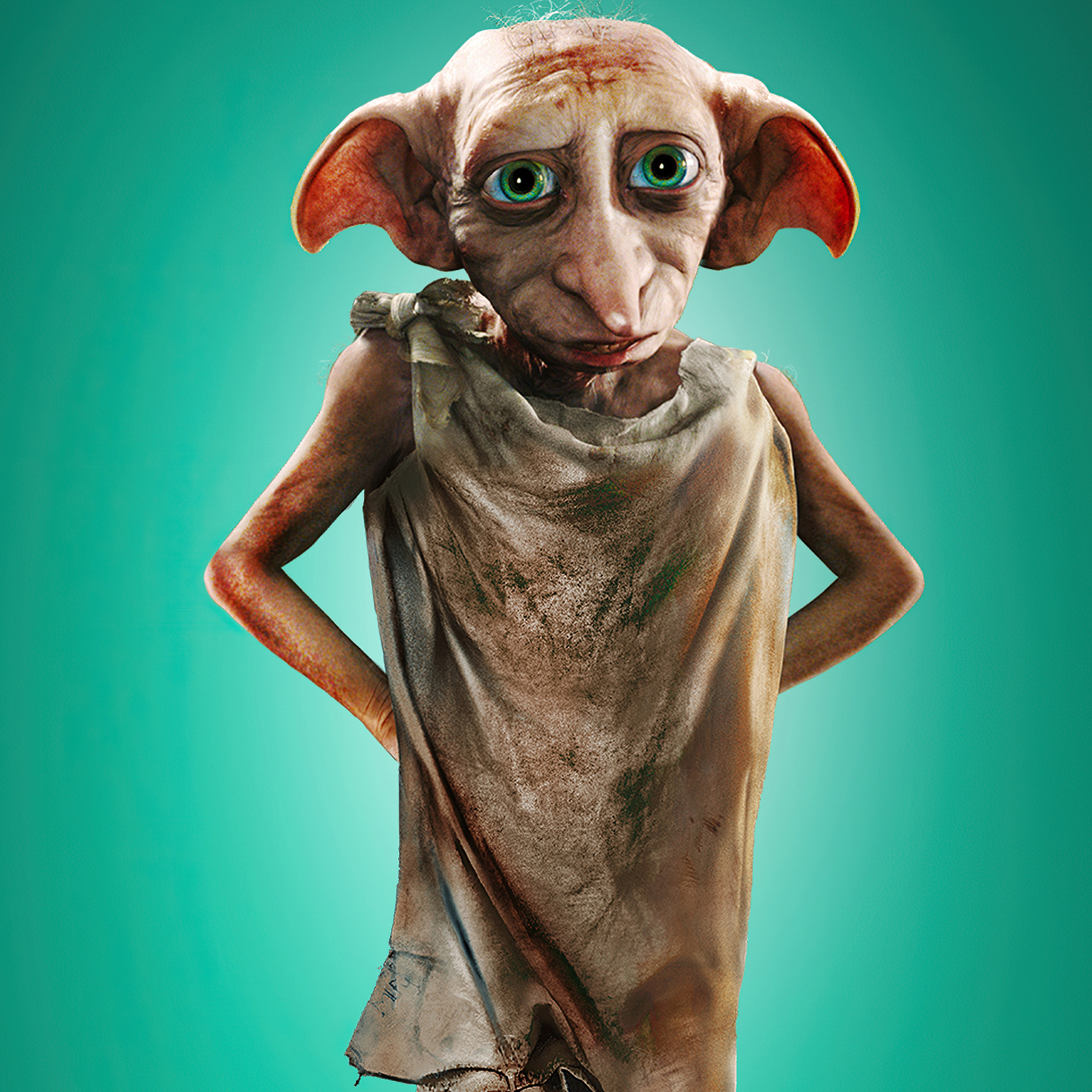 Dobby The House Elf Official Harry Potter Cardboard C 