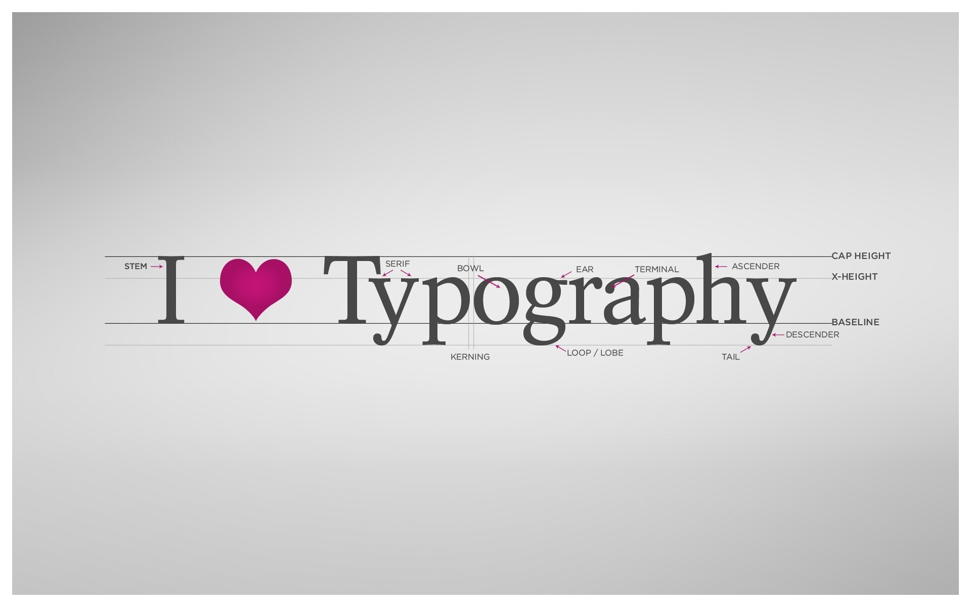 i-love-typography.jpg