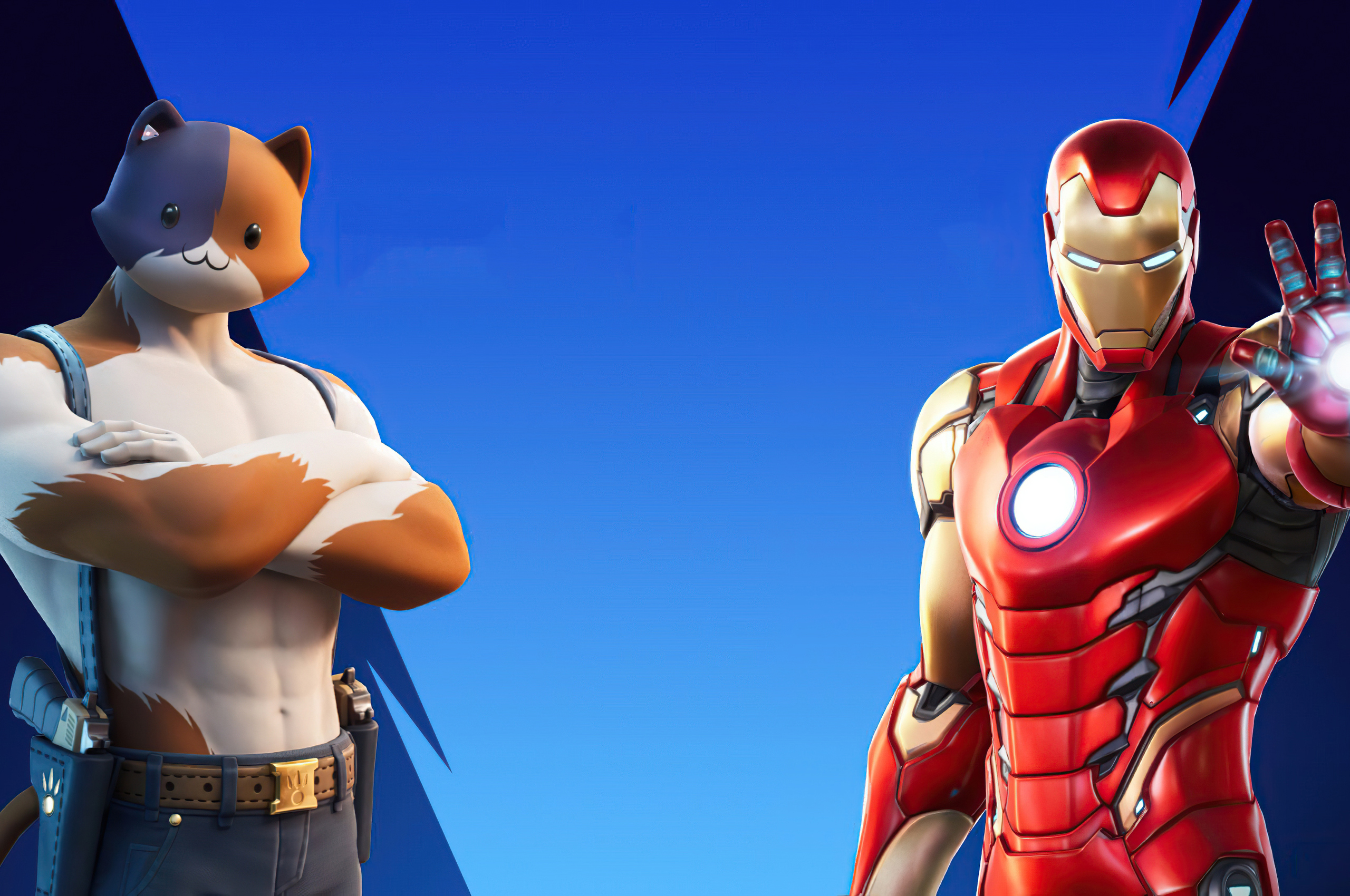 iron-man-and-meowscles-in-fortnite-fx.jpg. 