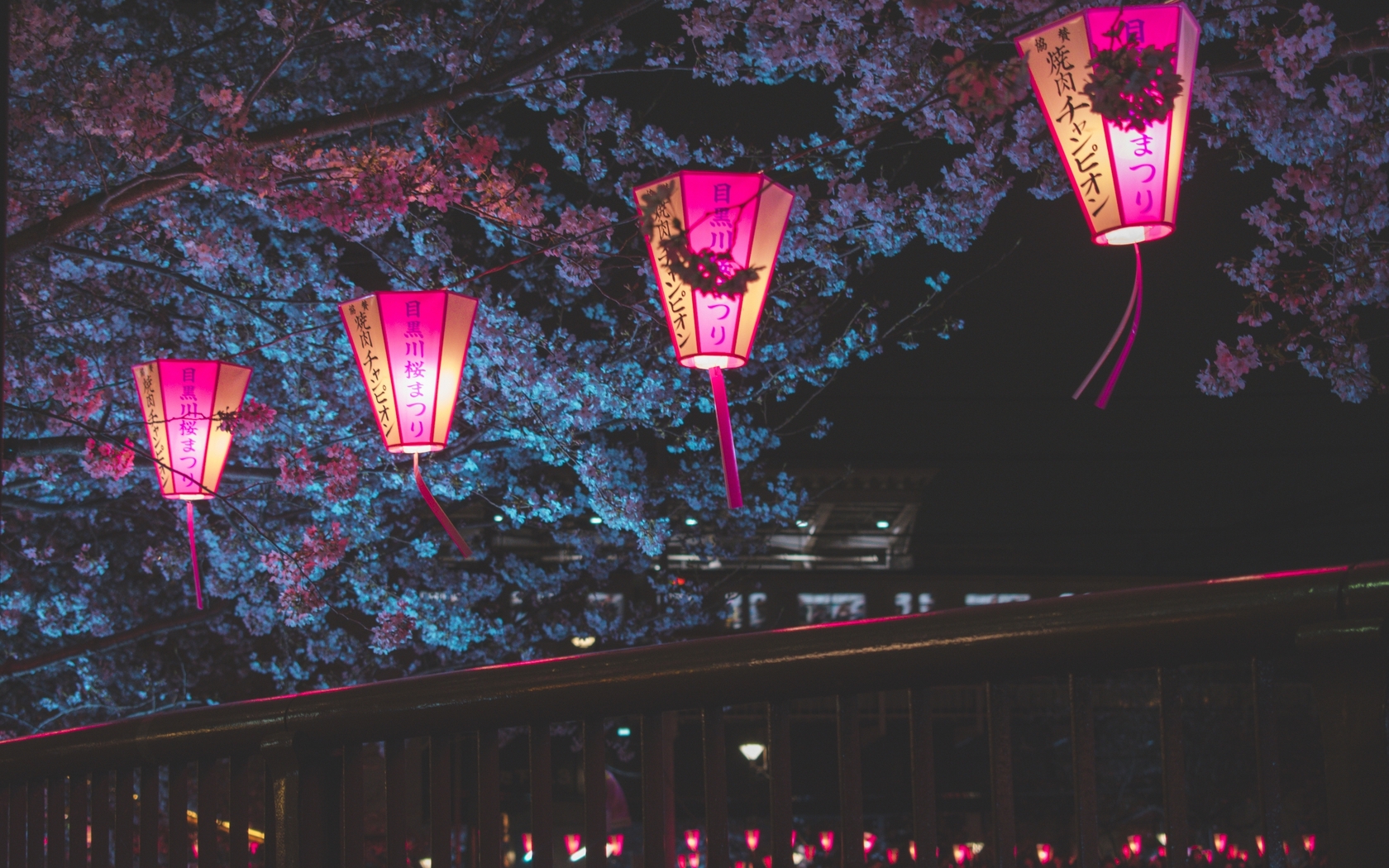 1680x1050 Japan Night Cherry Blossom Trees Lantern Glowing Night 1680x1050  Resolution HD 4k Wallpapers, Images, Backgrounds, Photos and Pictures
