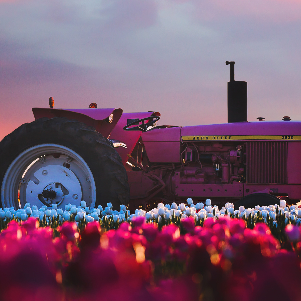 1024x1024 John Deere Tractor In Flower Farm 4k 1024x1024 Resolution HD ...