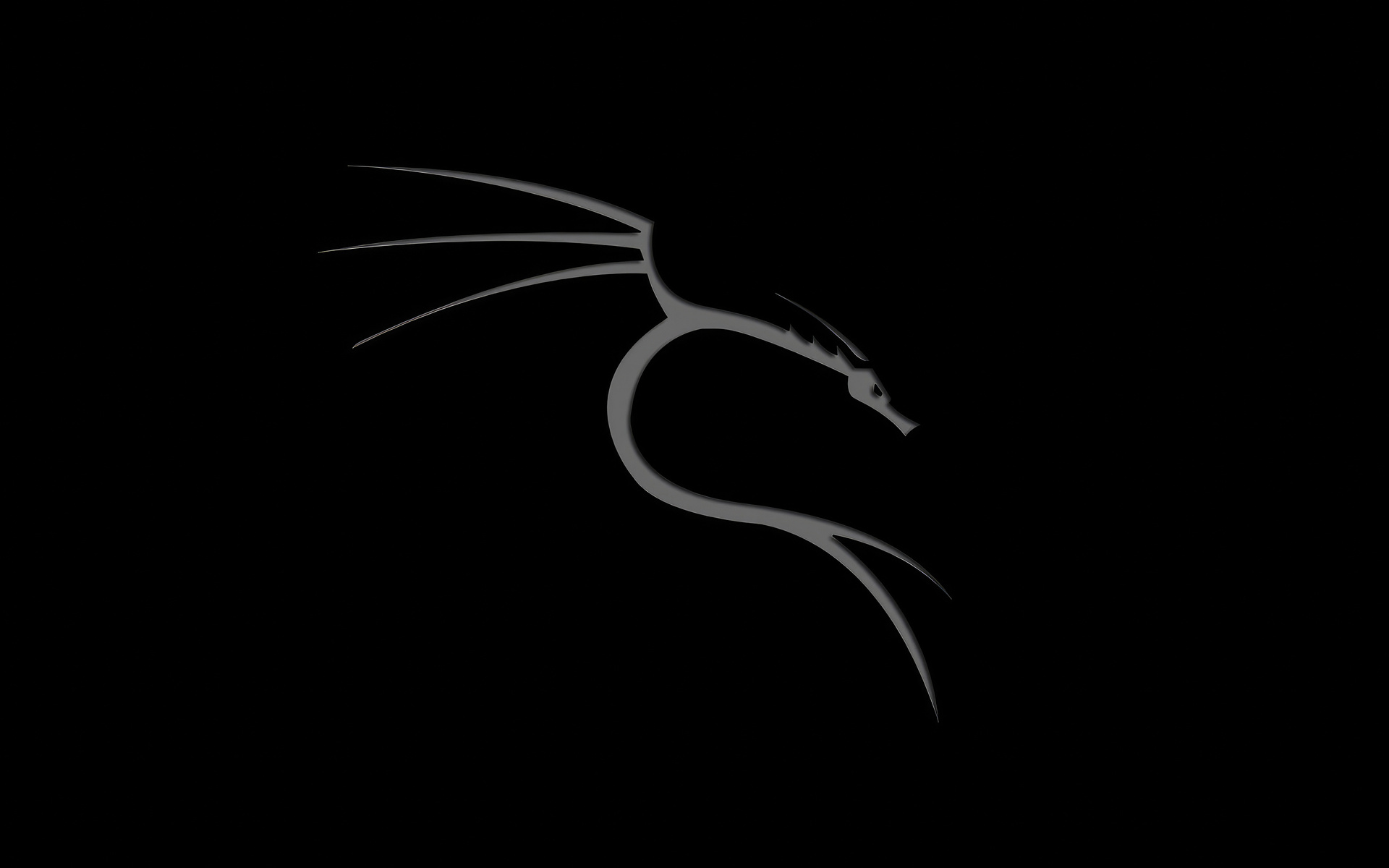 1920x1200 Kali Linux Dragon 4k 1080P Resolution ,HD 4k Wallpapers ...