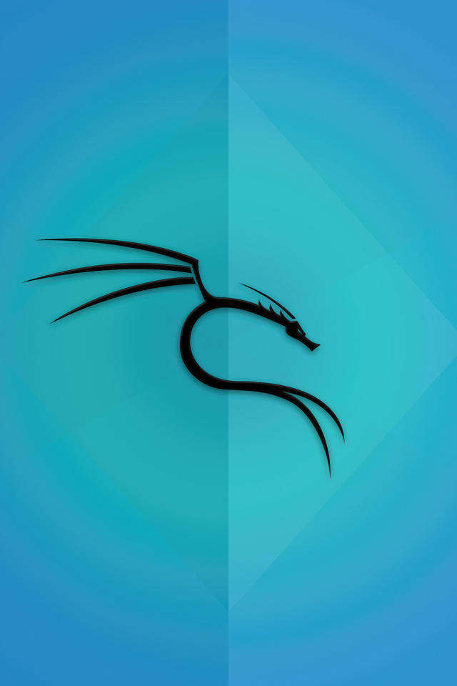 640x960 Kali Linux Operating System iPhone 4, iPhone 4S ,HD 4k ...