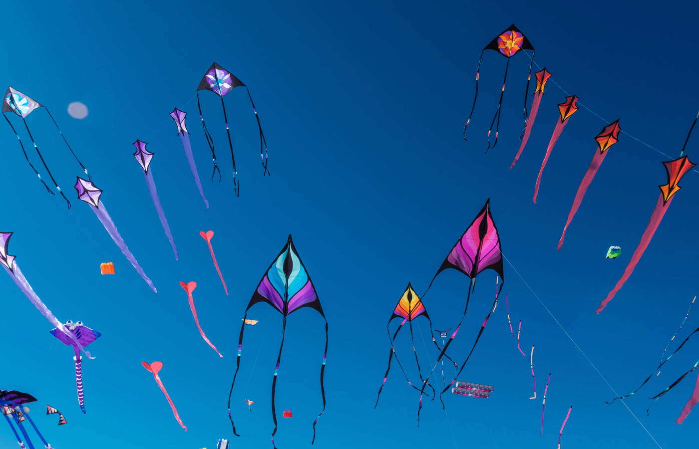 kites-in-air-oq.jpg
