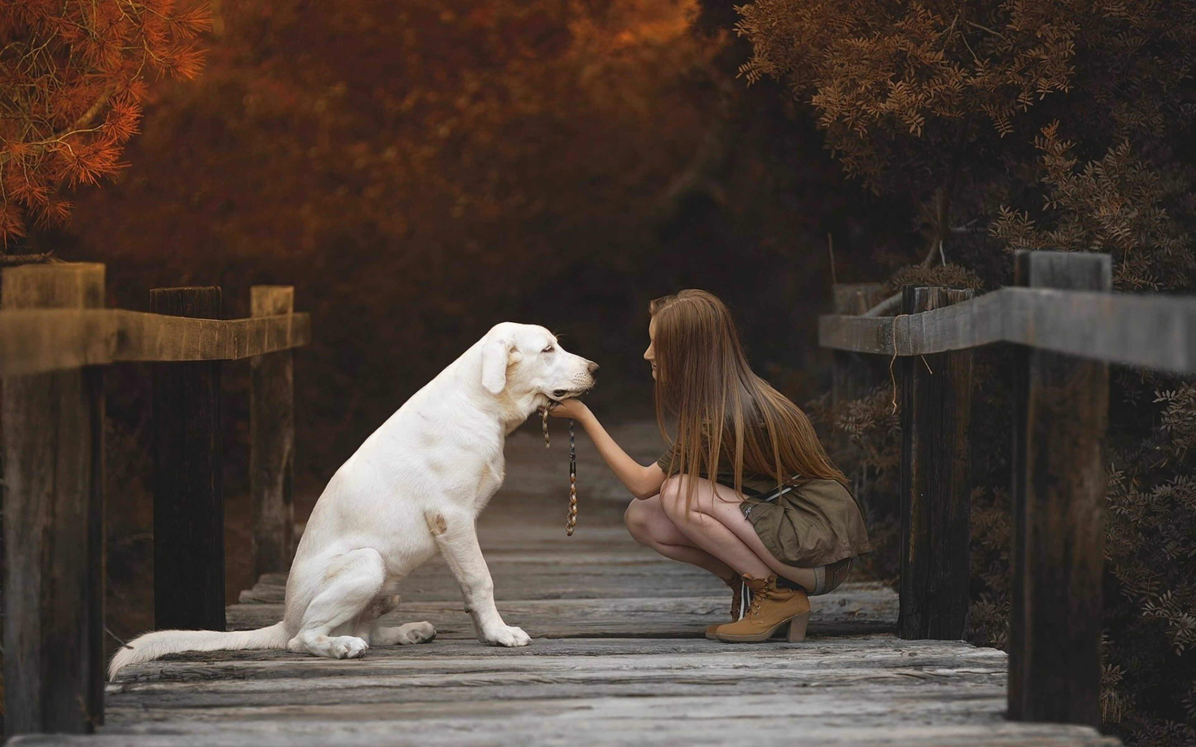 Картинка девушки с собакой. Девочка с собакой. Фотосессия с лабрадором. Девушка с лабрадором. Лабрадор девочка.