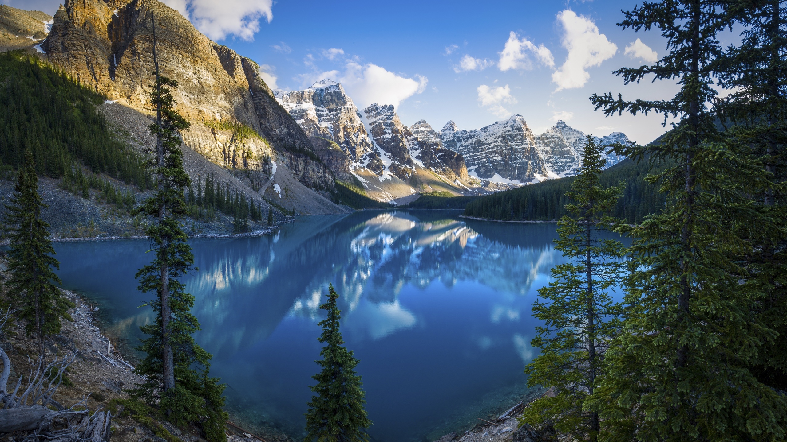 2560x1440 Lake Scenery Alberta Trees 5k 1440p Resolution Hd 4k