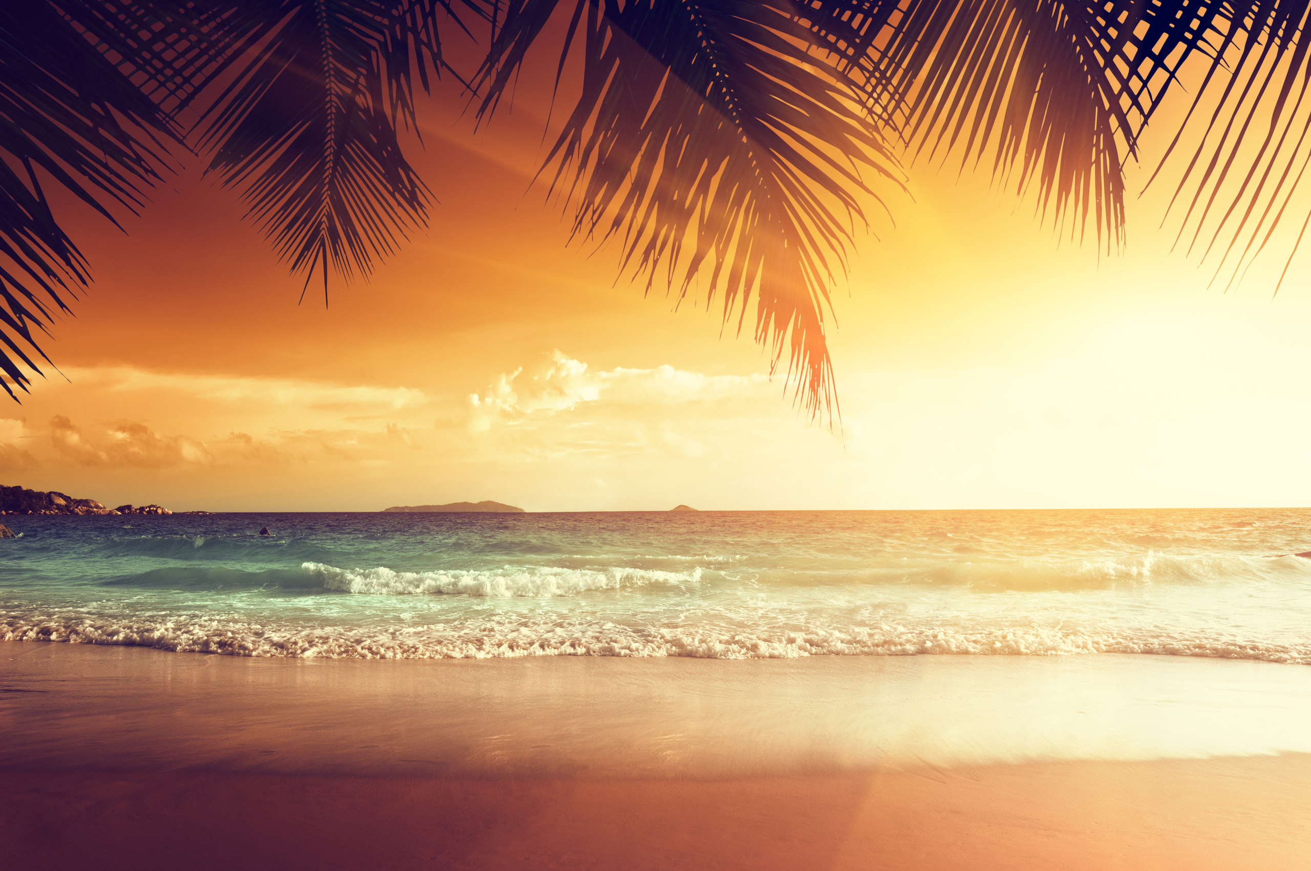 40 Best Aesthetic Summer Cute Backgrounds For Chromebooks Summer Background