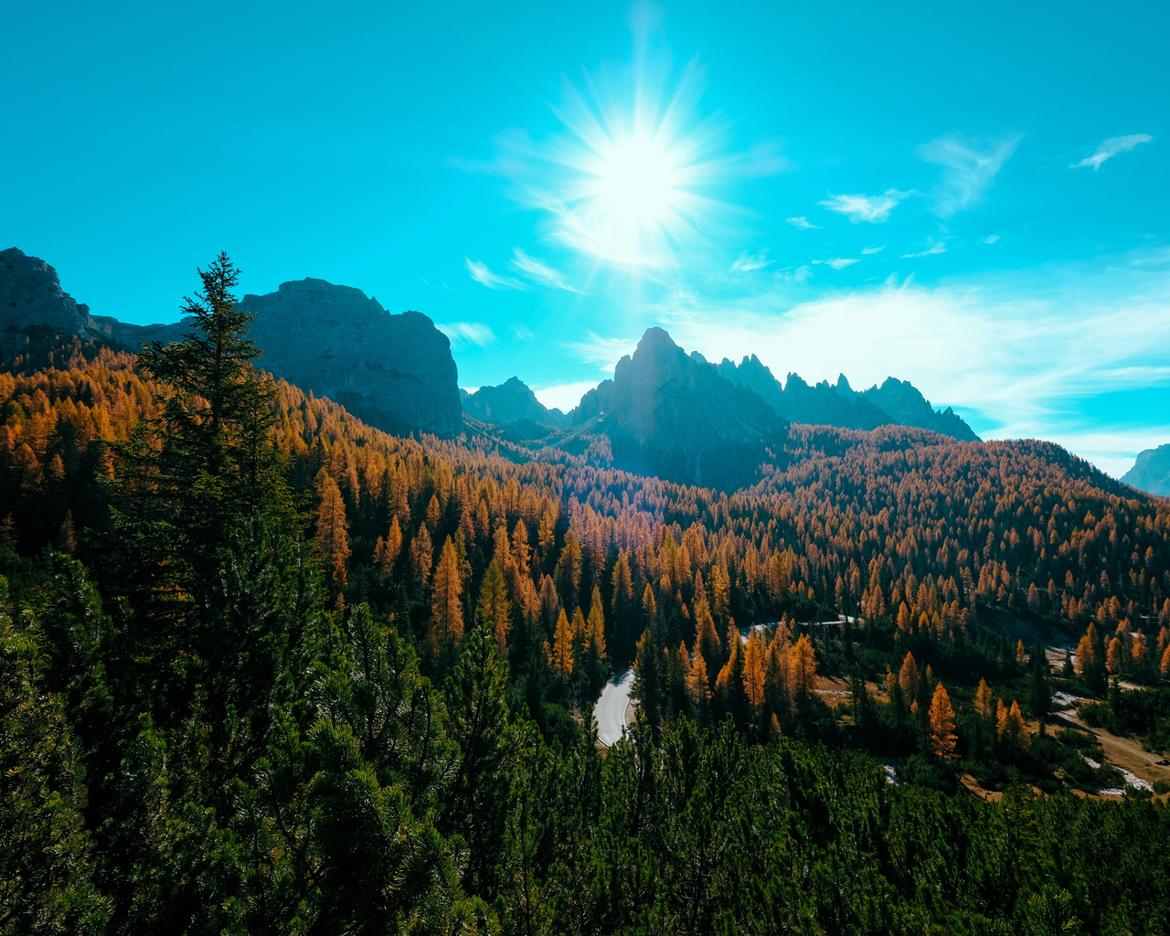 1280x1024 Landscape Trees Nature Forest 5k Wallpaper,1280x1024