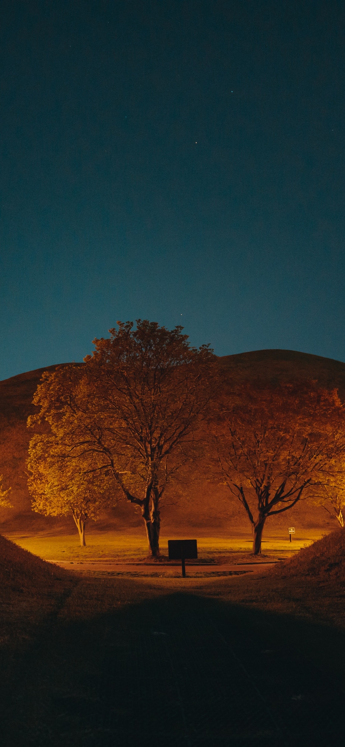 leafless-tree-on-brown-field-during-night-time-ep.jpg