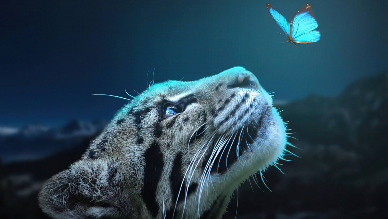 1360x768 Leopard Butterfly Connection 5k Laptop HD HD 4k Wallpapers,  Images, Backgrounds, Photos and Pictures