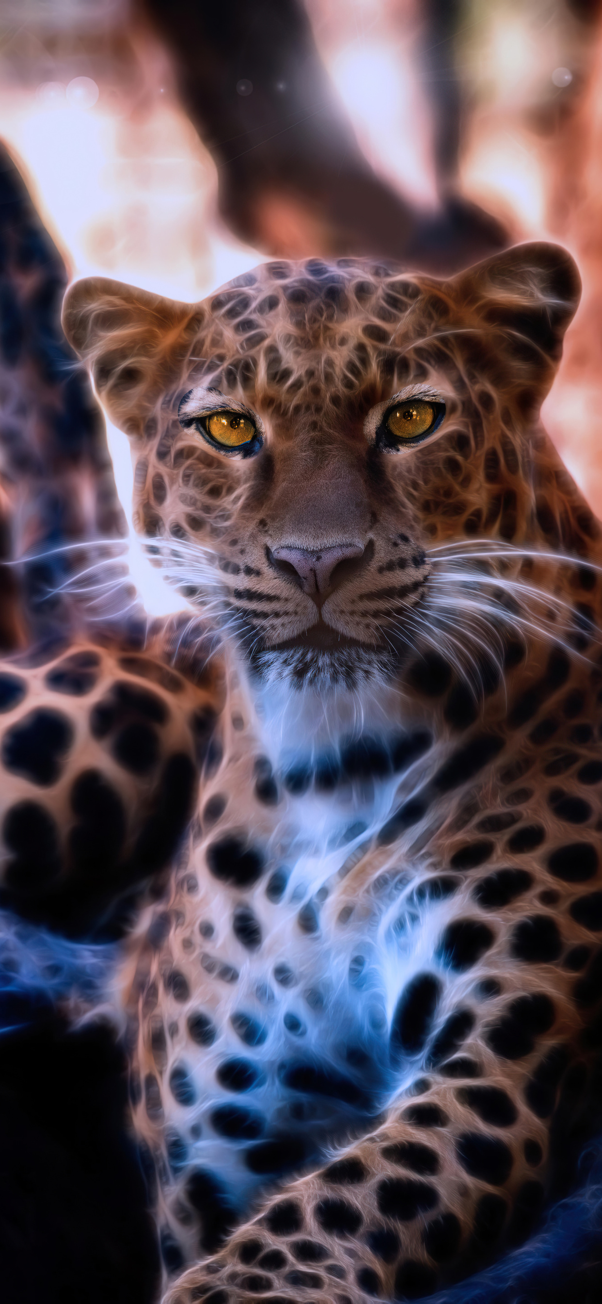 1242x2688 Leopard Crystal Glowing 4k Iphone XS MAX HD 4k Wallpapers ...