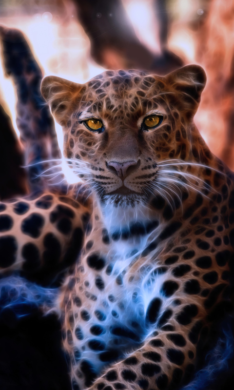 leopard-crystal-glowing-4k-d7.jpg