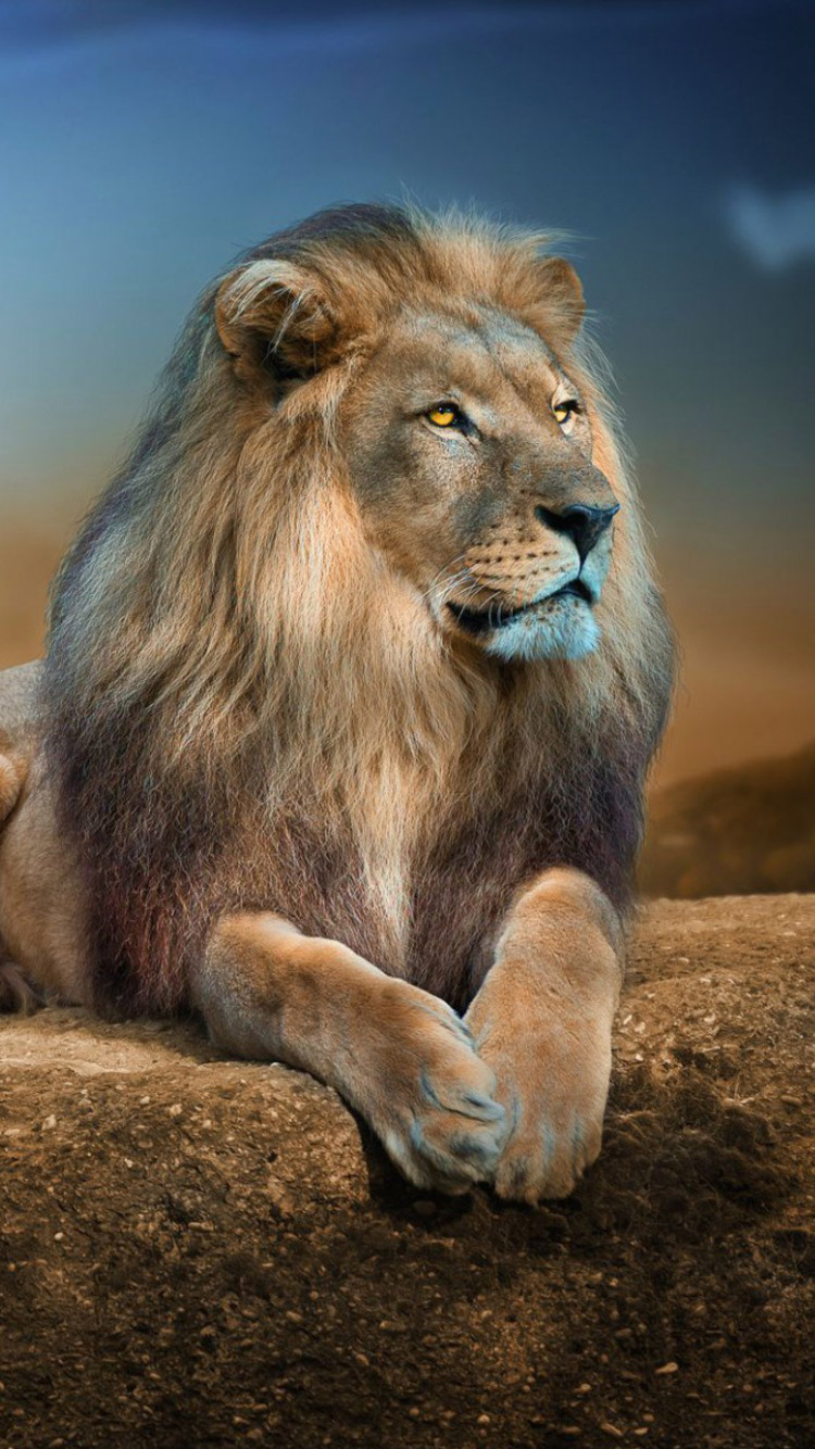 750x1334 Lion 2 iPhone 6, iPhone 6S, iPhone 7 HD 4k Wallpapers, Images,  Backgrounds, Photos and Pictures