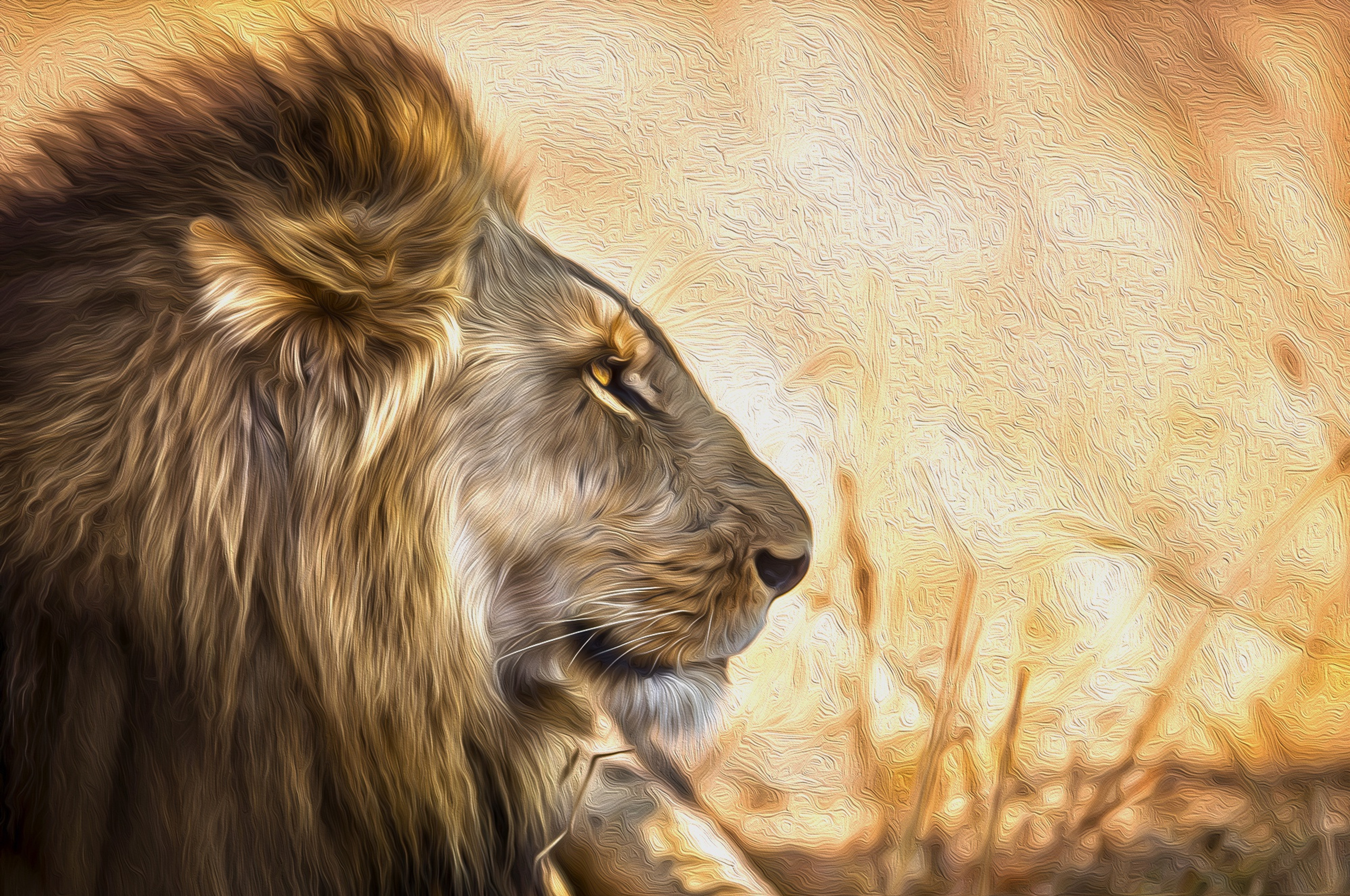 2560x1700 Lion Art Chromebook Pixel ,HD 4k Wallpapers,Images