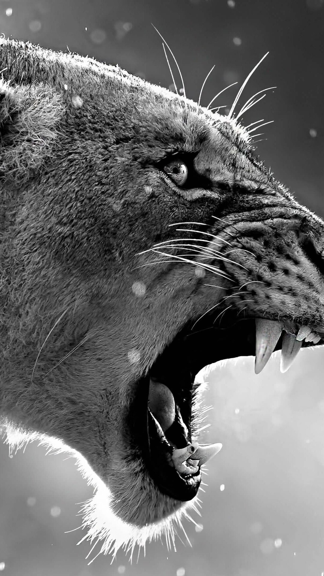 Angry Lion Wallpapers - Wallpaper Cave