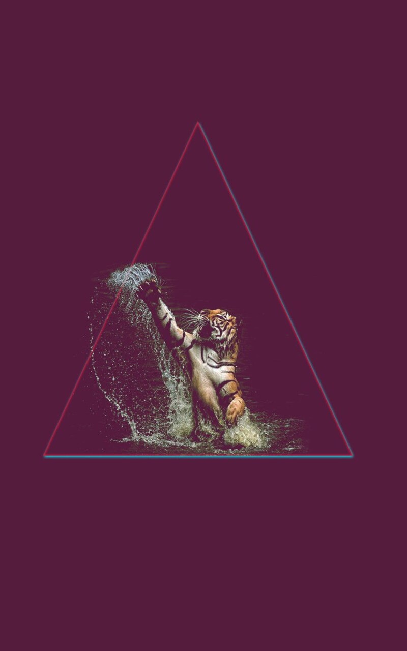 lion-triangle-art.jpg