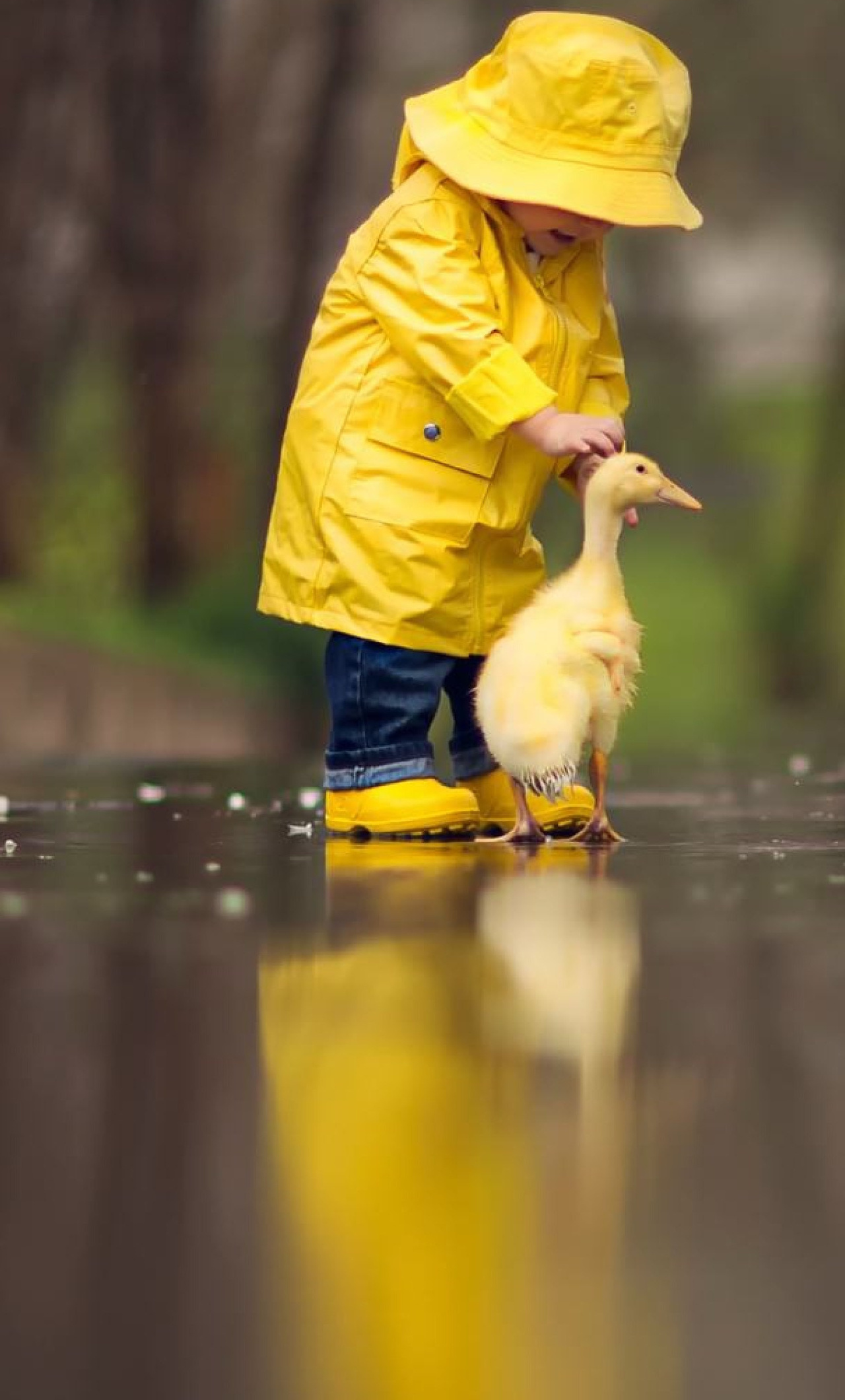 1280x2120 Little Boy Child Playing With Ducks iPhone 6+ ,HD 4k ...