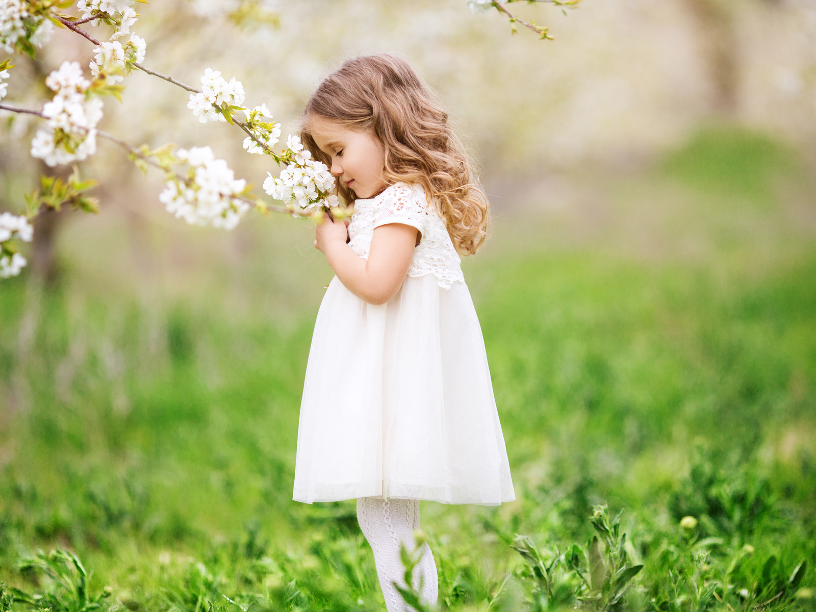 Little Cute Girl Smelling Flowers Wallpaper In 1600x1200 Resolution