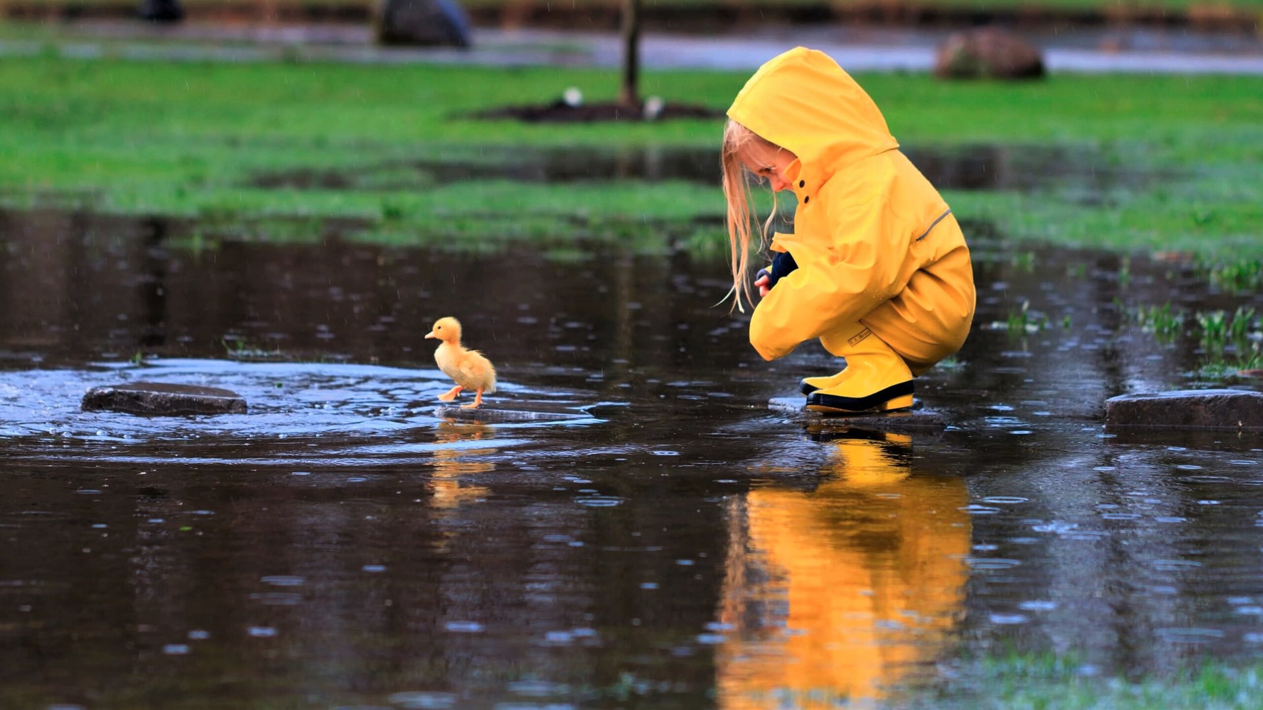 little-girl-playing-with-duckling-qw.jpg