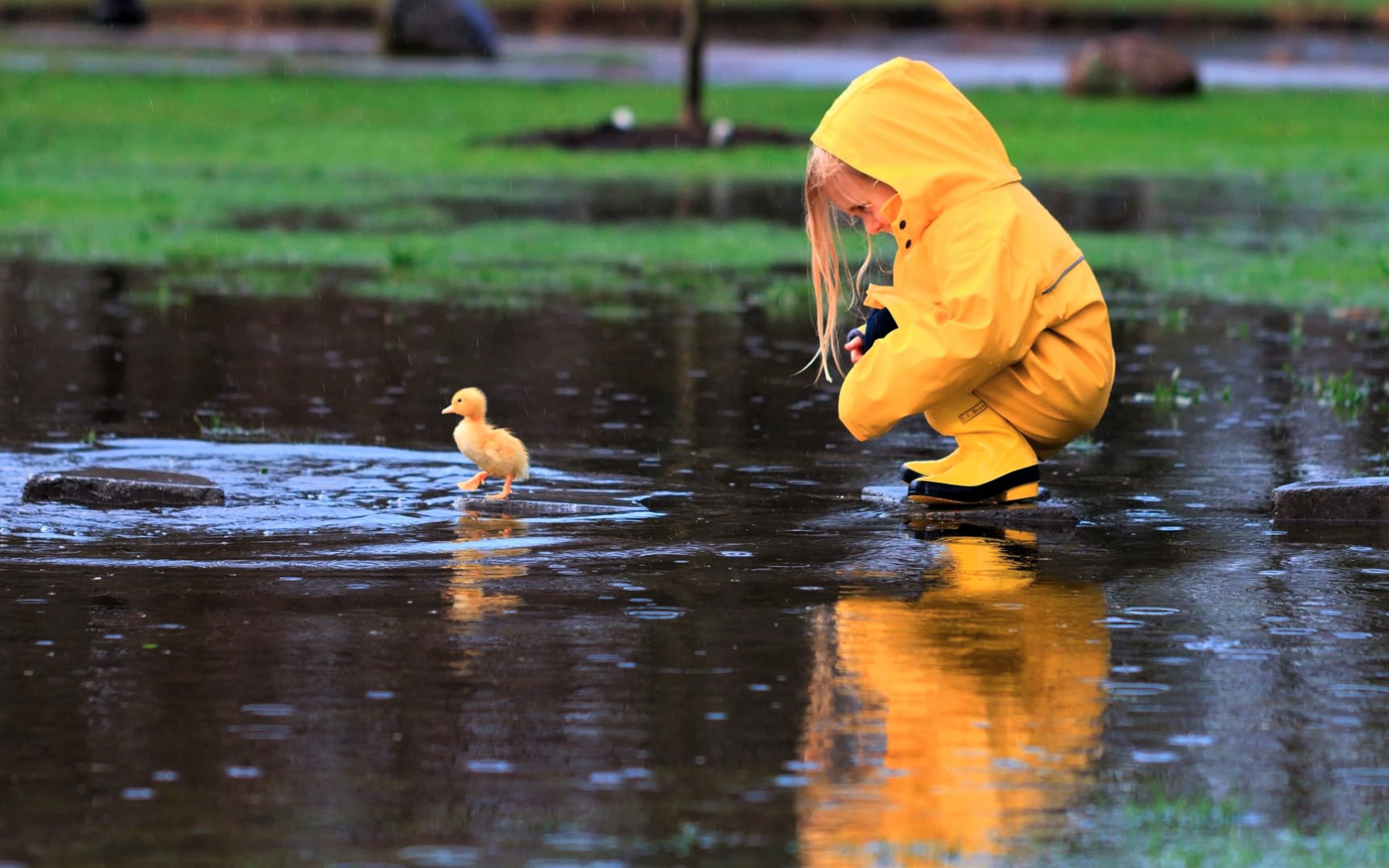 little-girl-playing-with-duckling-qw.jpg