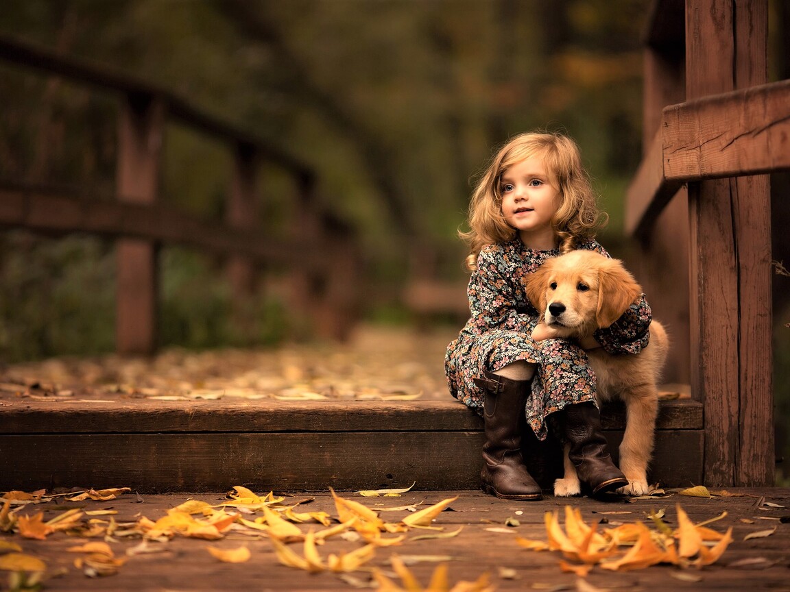 1152x864 Little Girl With Golden Retriever Puppy 1152x864 Resolution HD 4k  Wallpapers, Images, Backgrounds, Photos and Pictures
