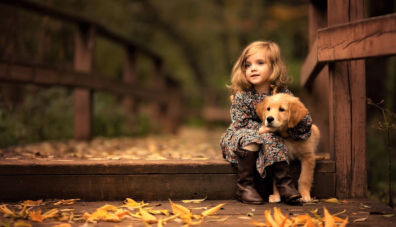 1336x768 Little Girl With Golden Retriever Puppy Laptop HD HD 4k Wallpapers,  Images, Backgrounds, Photos and Pictures