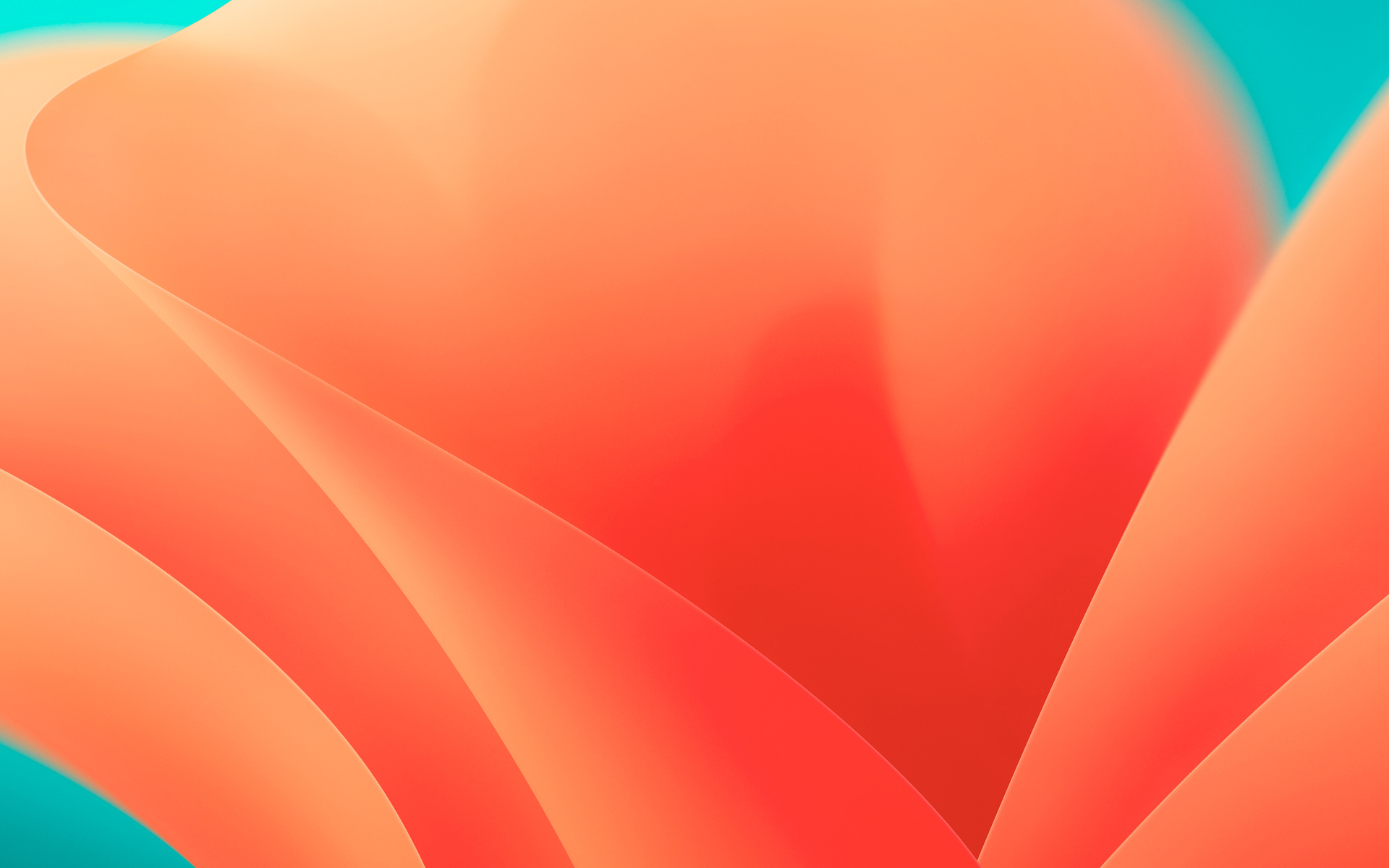 1920x1200 Mac Os Ventura Orange 8k 1080P Resolution HD 4k Wallpapers