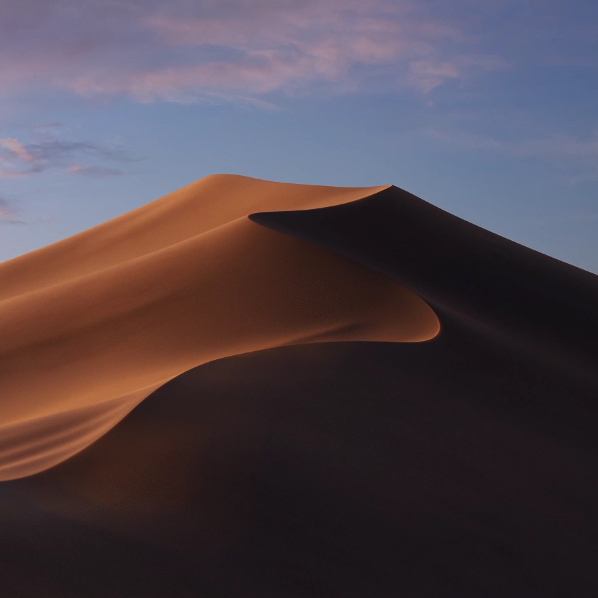 2048x2048 Macos Mojave Dusk Mode Stock Ipad Air HD 4k Wallpapers, Images,  Backgrounds, Photos and Pictures