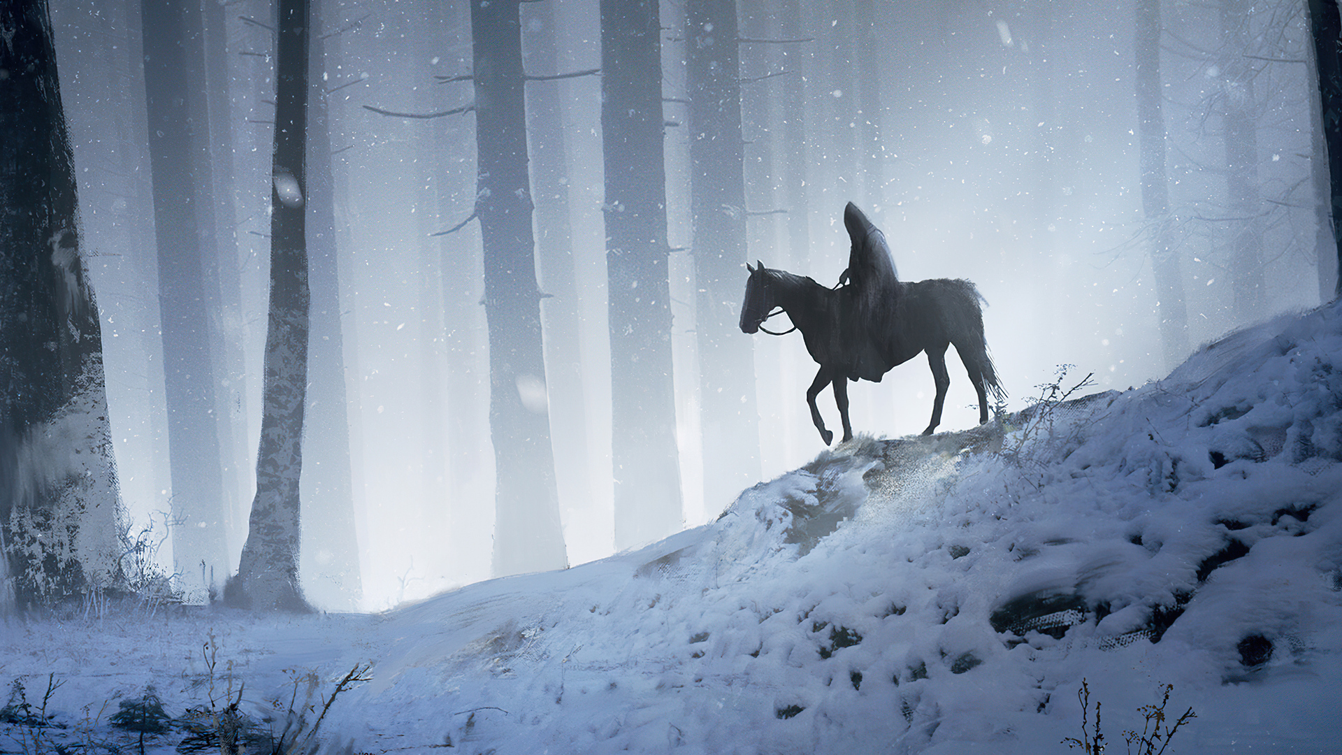 1920x1080 Man Horse Walking Through Woods 4k Laptop Full HD 1080P HD 4k  Wallpapers, Images, Backgrounds, Photos and Pictures