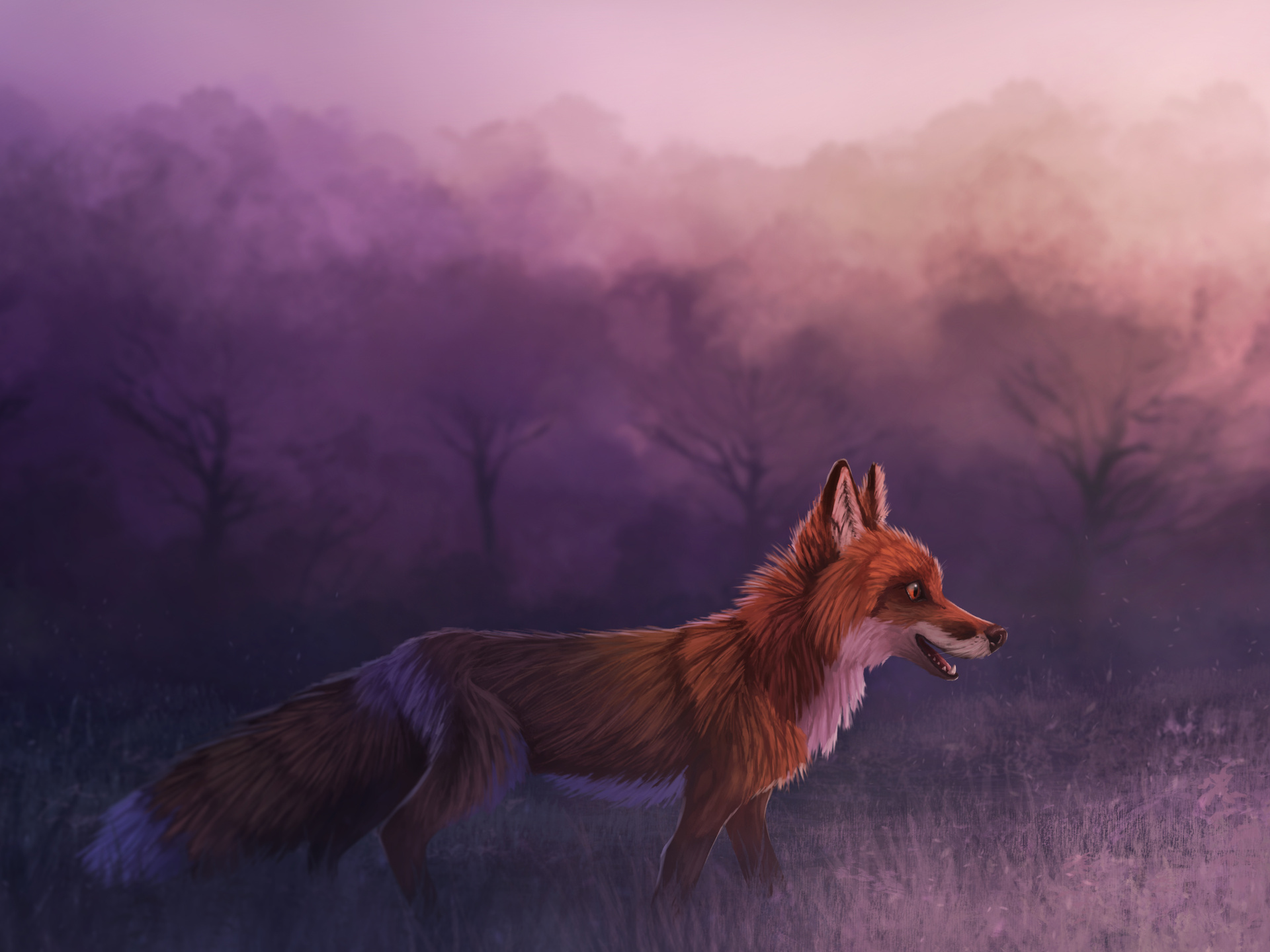 1920x1440 Misty Red Fox 4k 1920x1440 Resolution HD 4k Wallpapers