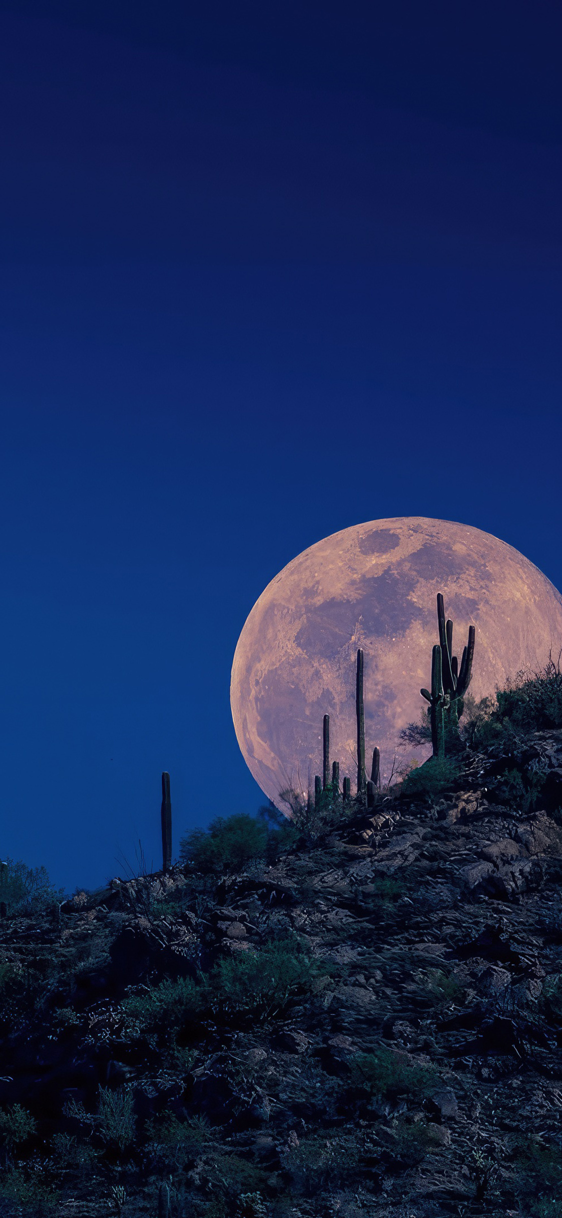 1125x2436 Moon Appears In The Night Sky Iphone XS,Iphone 10,Iphone X HD 4k Wallpapers, Images