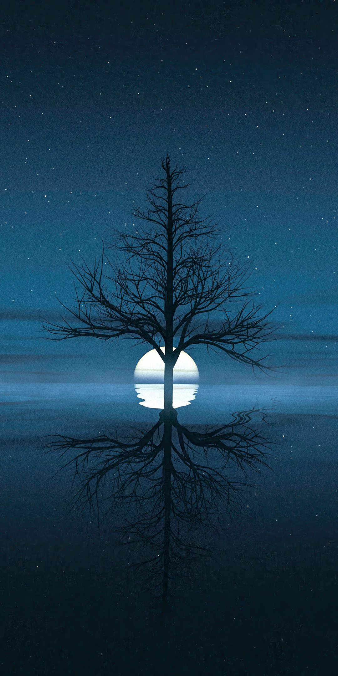 moon-set-behind-tree-bb.jpg