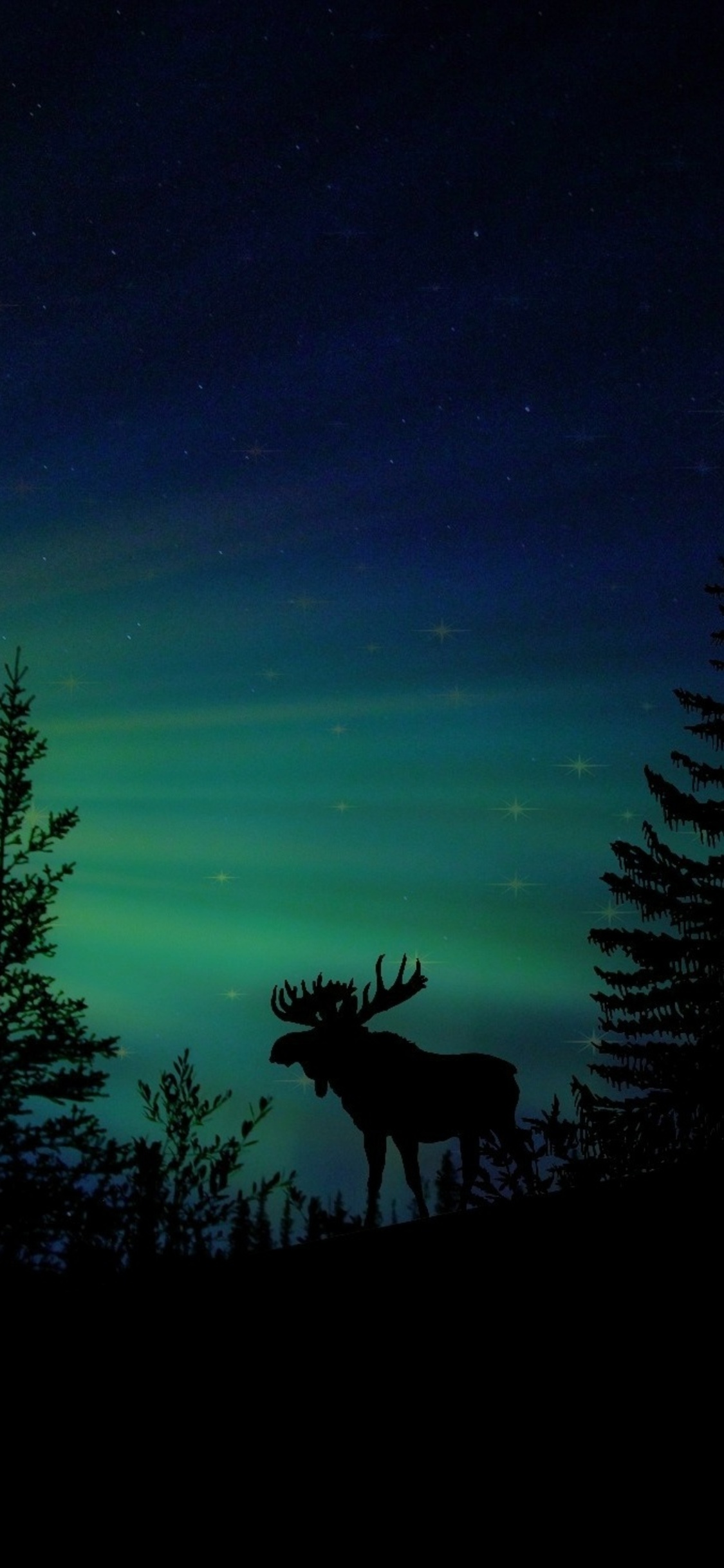moose-forest-animal-dawn-silhouette-aurora-2u.jpg