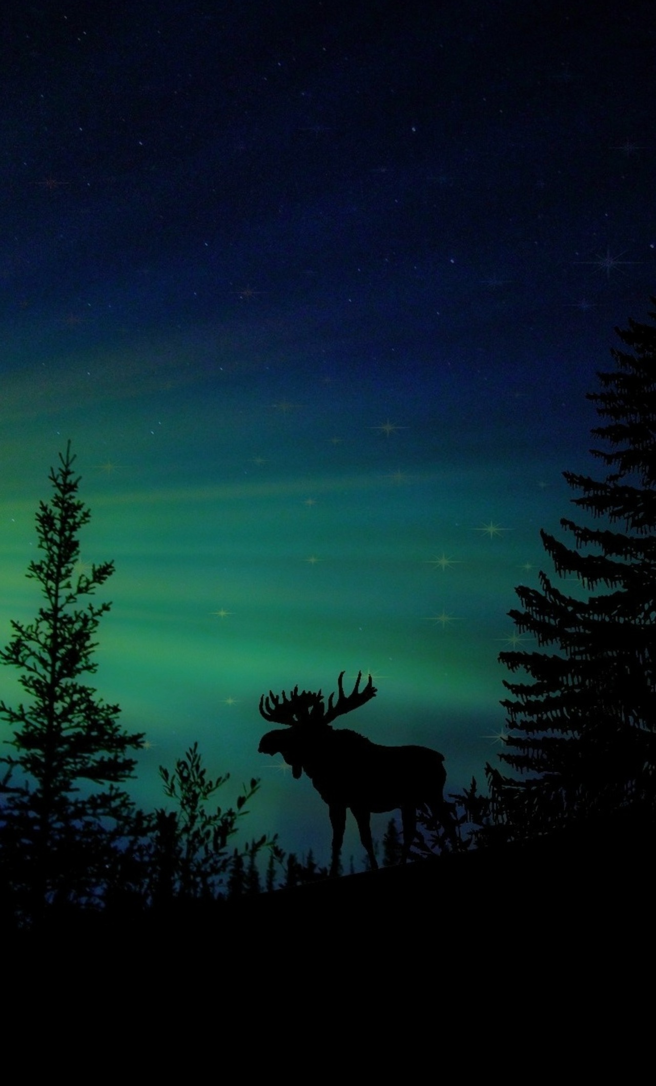 1000 Moose Pictures  Download Free Images on Unsplash