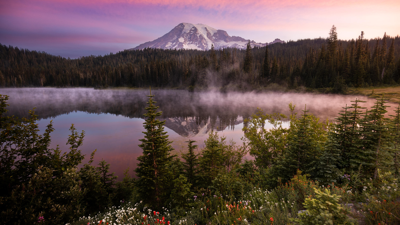 1366x768 Morning Light At Mount Rainier National Park Laptop HD ,HD 4k ...