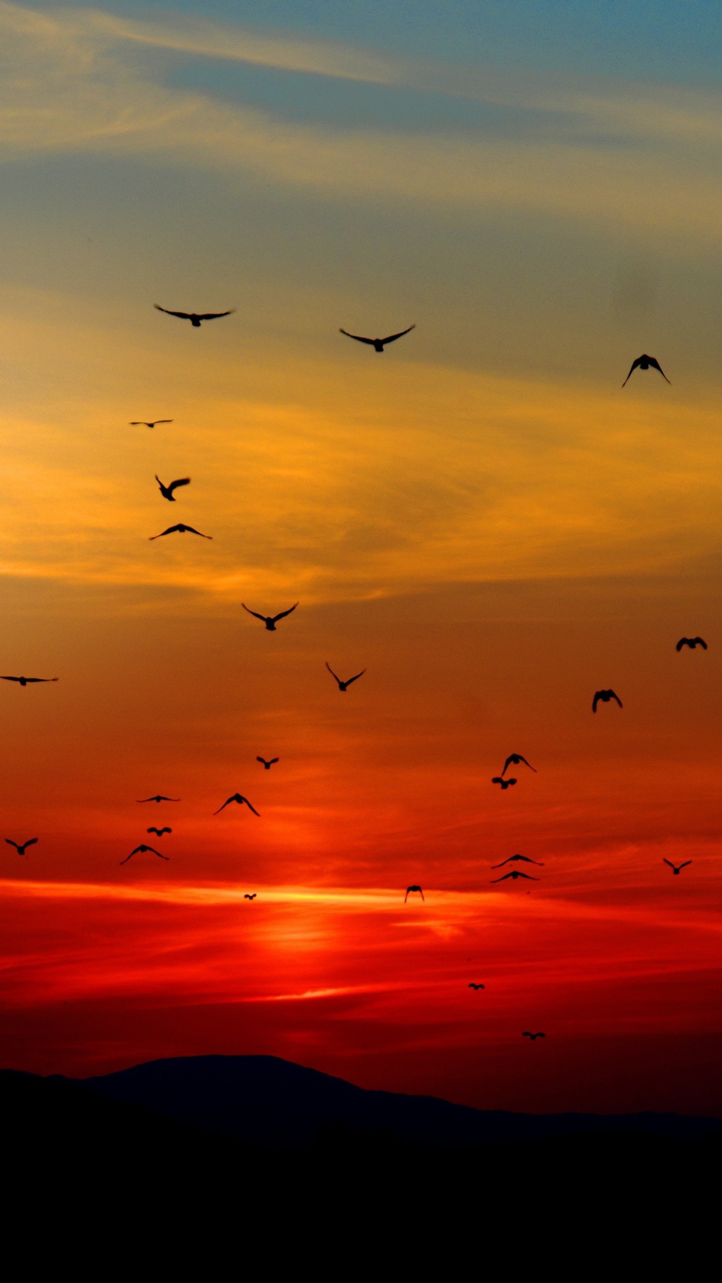 mountains-birds-silhouette-sunset-dusk-dawn-5k-eb.jpg
