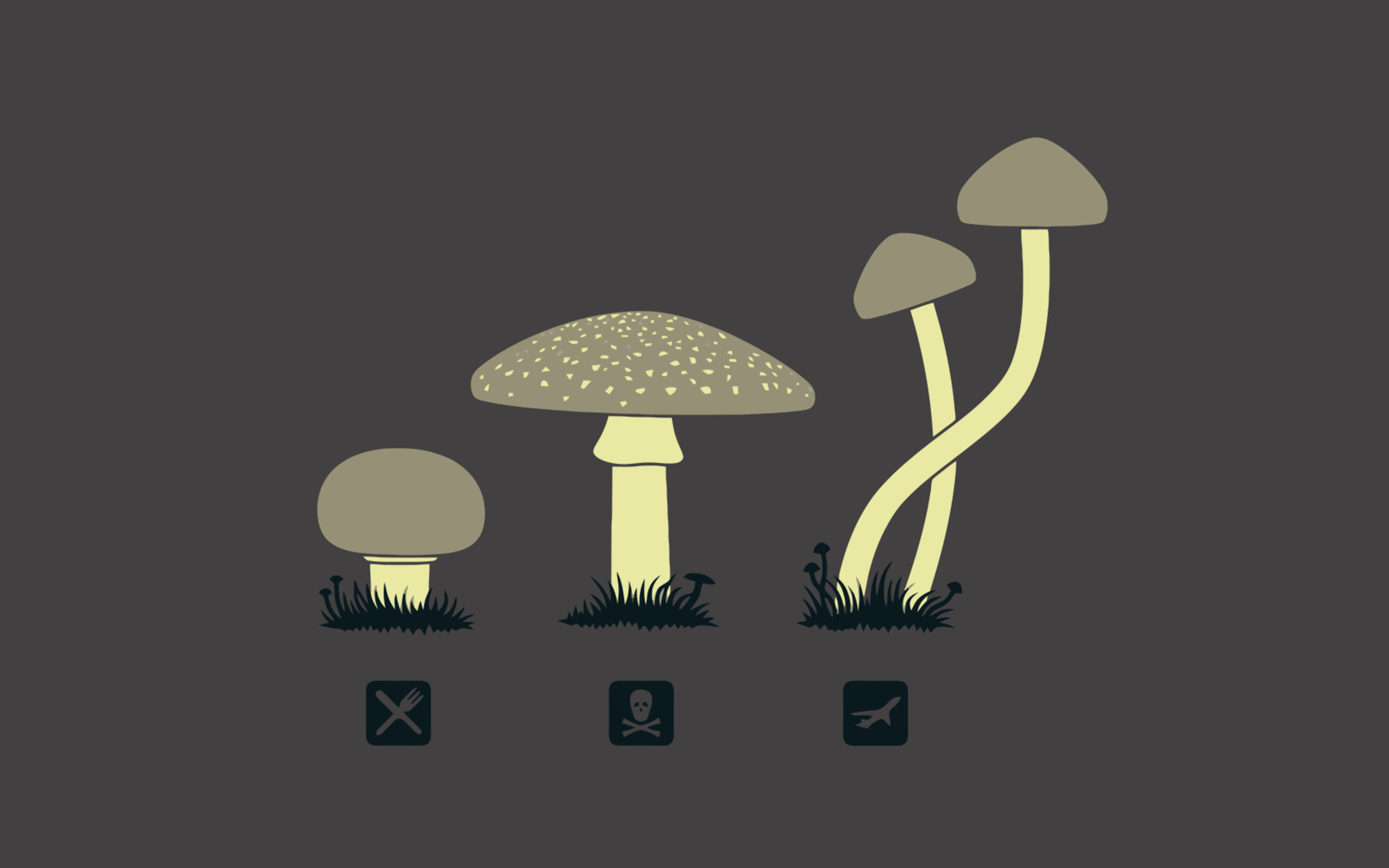 Featured image of post Mushroom Wallpaper Computer Mushroom wallpapers we have about 12 wallpapers in 1 1 pages