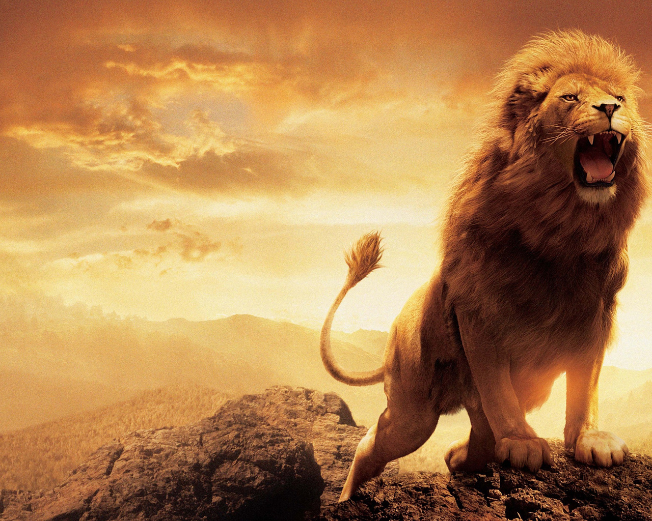 Aslan the Lion from The Chronicles of Narnia Movie Desktop Wallpaper