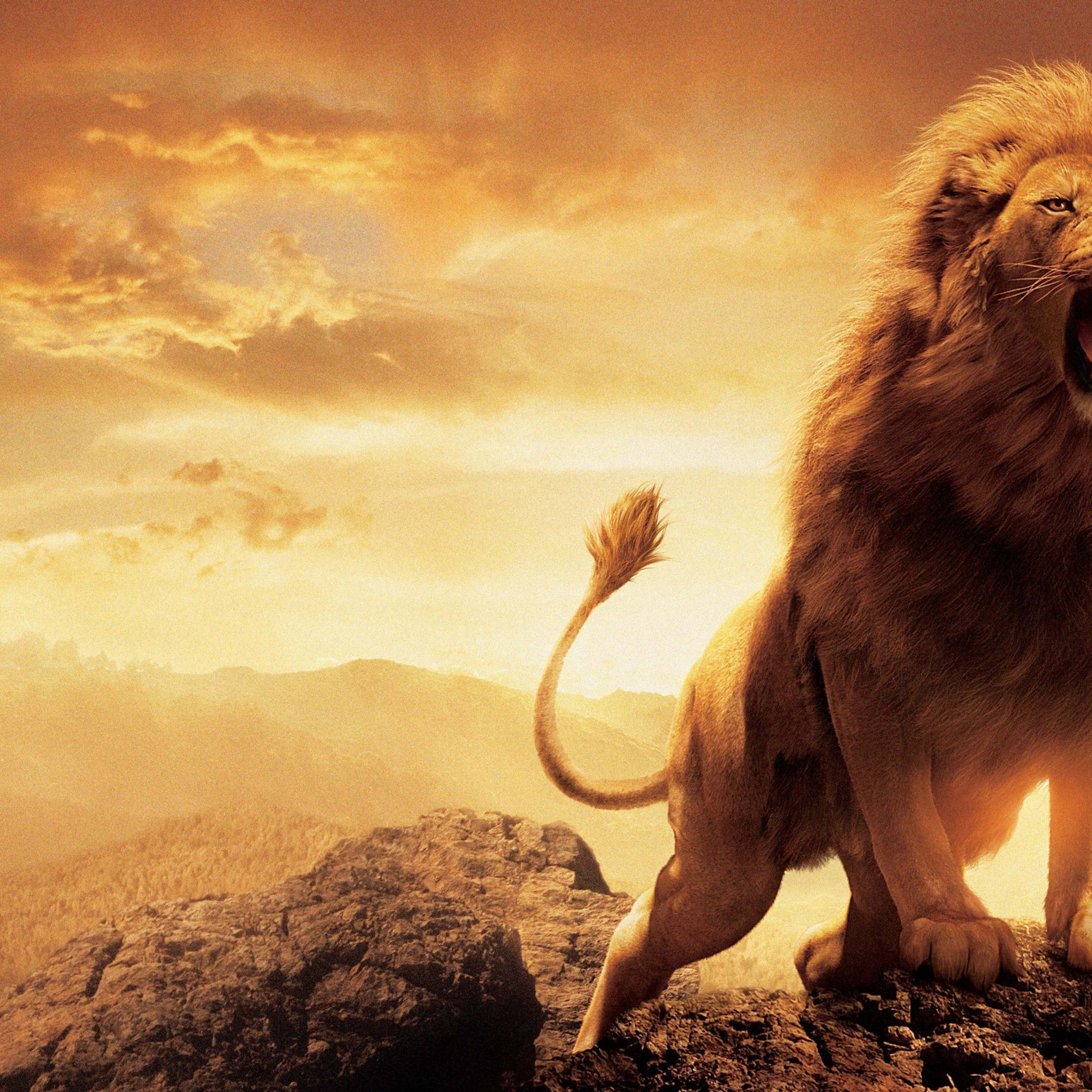 Aslan and Creatures from The Chronicles of Narnia Desktop Wallpaper