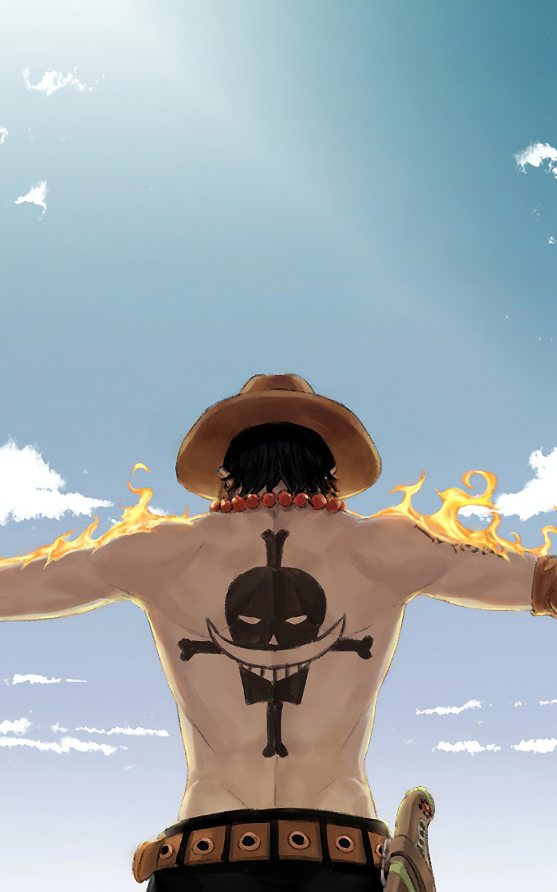 800x1280 One Piece 4k Nexus 7,Samsung Galaxy Tab 10,Note Android Tablets HD  4k Wallpapers, Images, Backgrounds, Photos and Pictures