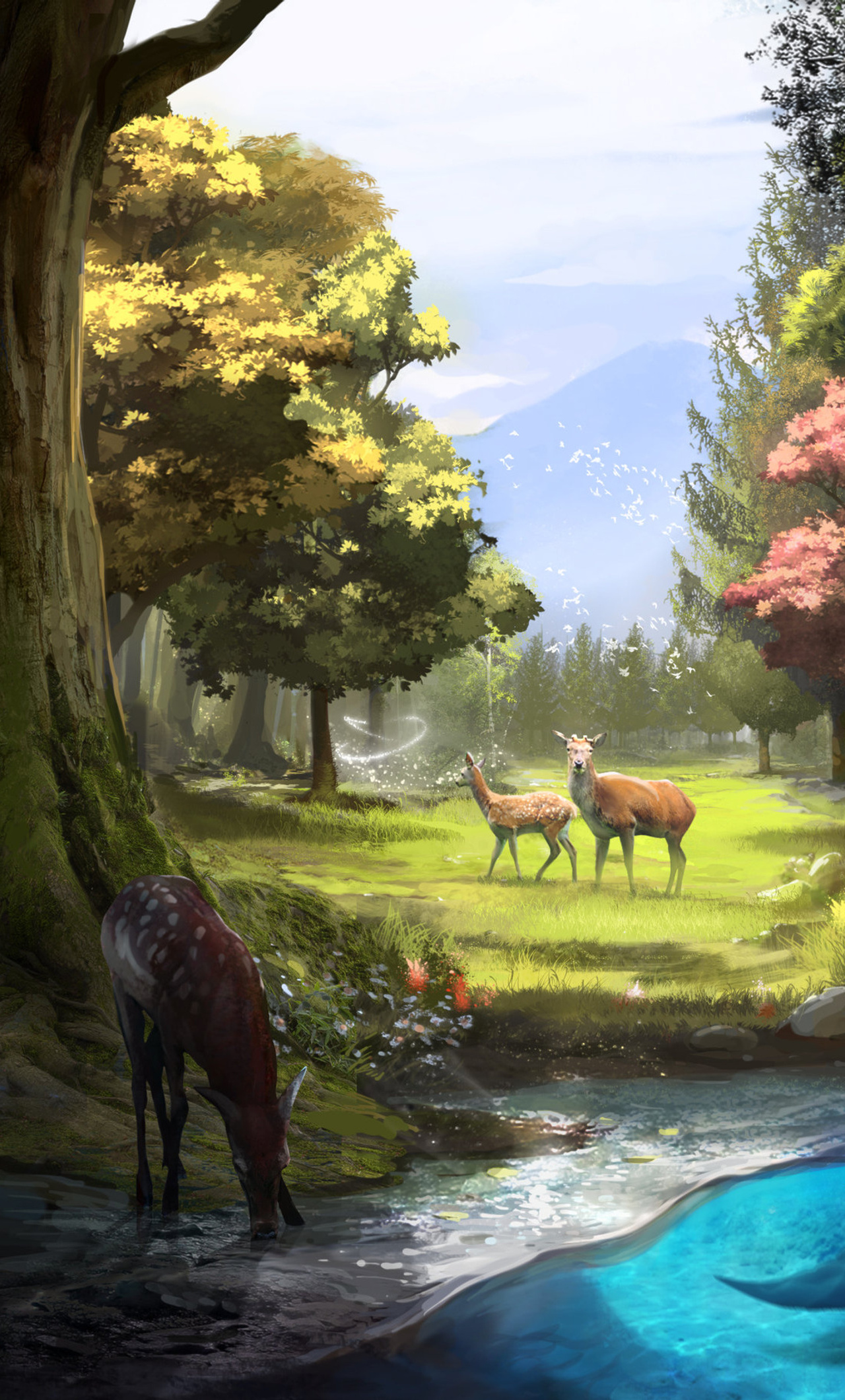 1280x2120 Our Nature iPhone 6+ HD 4k Wallpapers, Images, Backgrounds