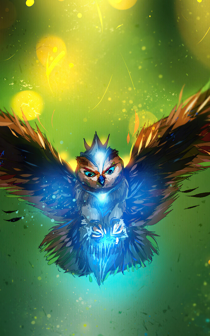 800x1280 Owl Art 4k Nexus 7,Samsung Galaxy Tab 10,Note Android Tablets HD  4k Wallpapers, Images, Backgrounds, Photos and Pictures