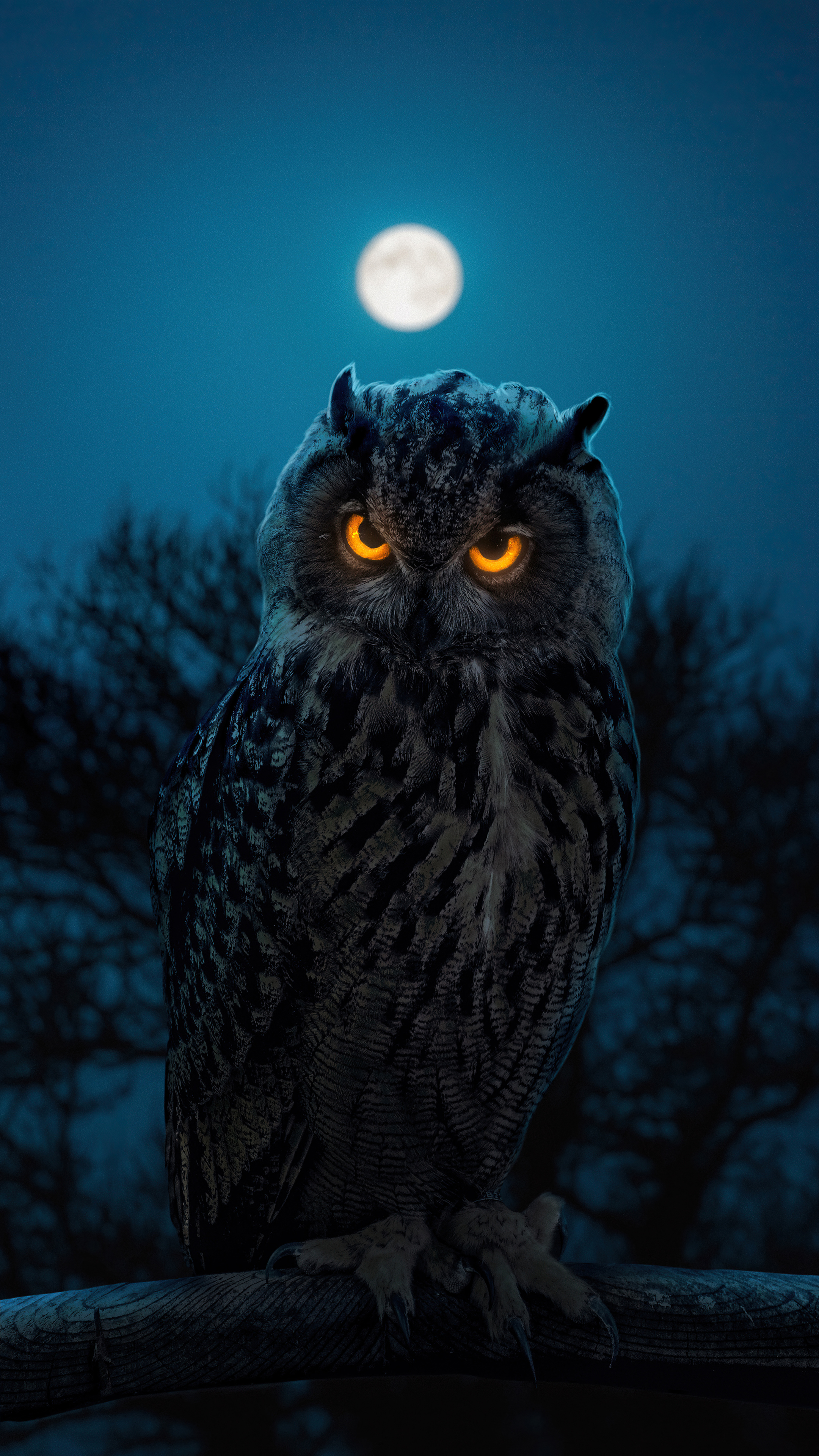2160x3840 Owl Glowing Eyes Sony Xperia X,XZ,Z5 Premium HD 4k Wallpapers,  Images, Backgrounds, Photos and Pictures