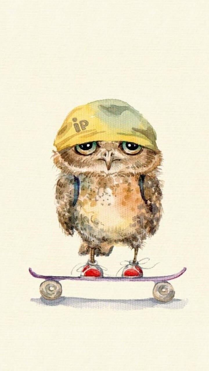 Owl On Skateboard Wallpaper In 720x1280 Resolution