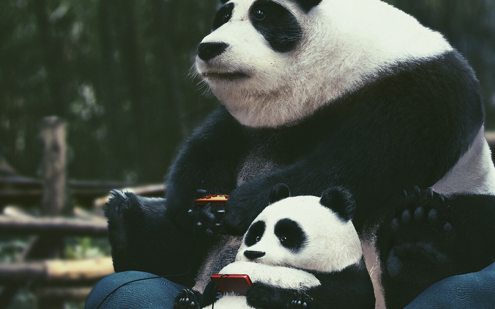 1680x1050 Panda With Son Enjoying Video Games 1680x1050 Resolution HD 4k  Wallpapers, Images, Backgrounds, Photos and Pictures