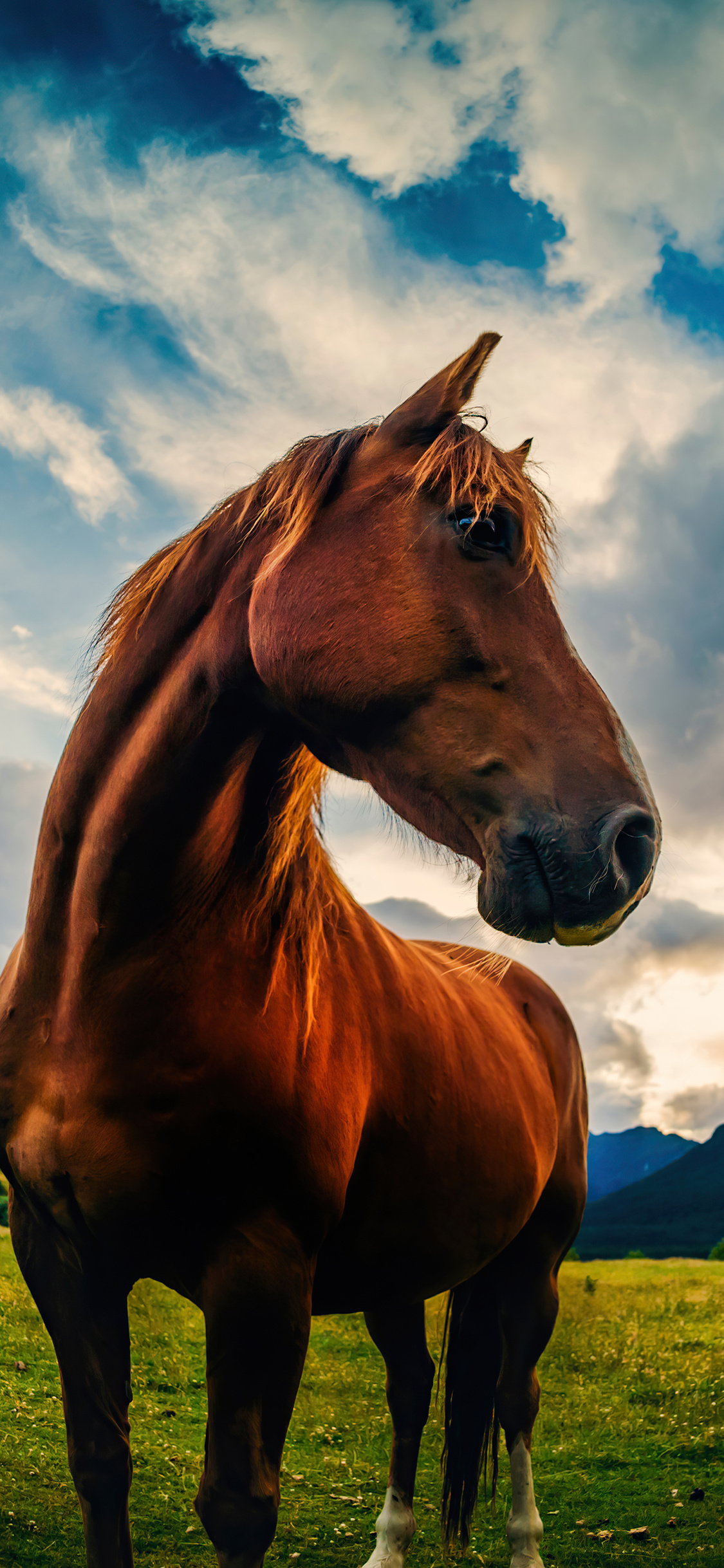 1125x2436 Paradise Horse 5k Iphone XS,Iphone 10,Iphone X ,HD 4k