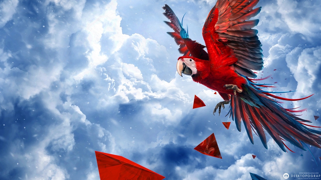 1366x768 Parrot Blue Sky 1366x768 Resolution HD 4k Wallpapers, Images ...
