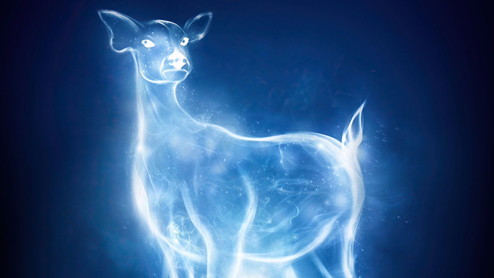1600x900 Patronus Charm Harry Potter And Fantastic Beasts Wallpaper